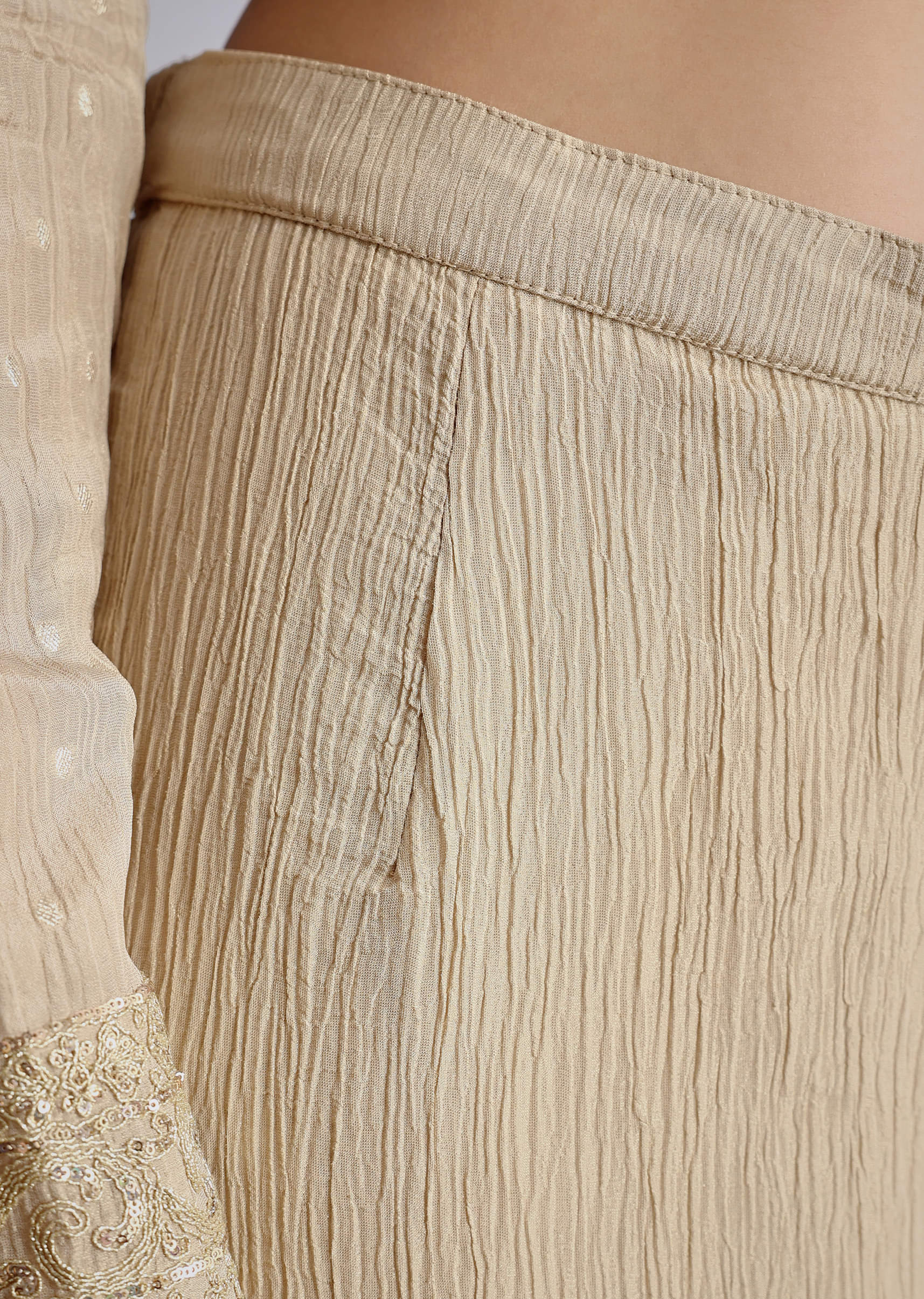 beige-crush-tissue-embroidered-kurta-sharara-suit-with-dupatta-sg325608-6_61166cb4-f936-4a87-8a05-e44017a33cc5.jpg