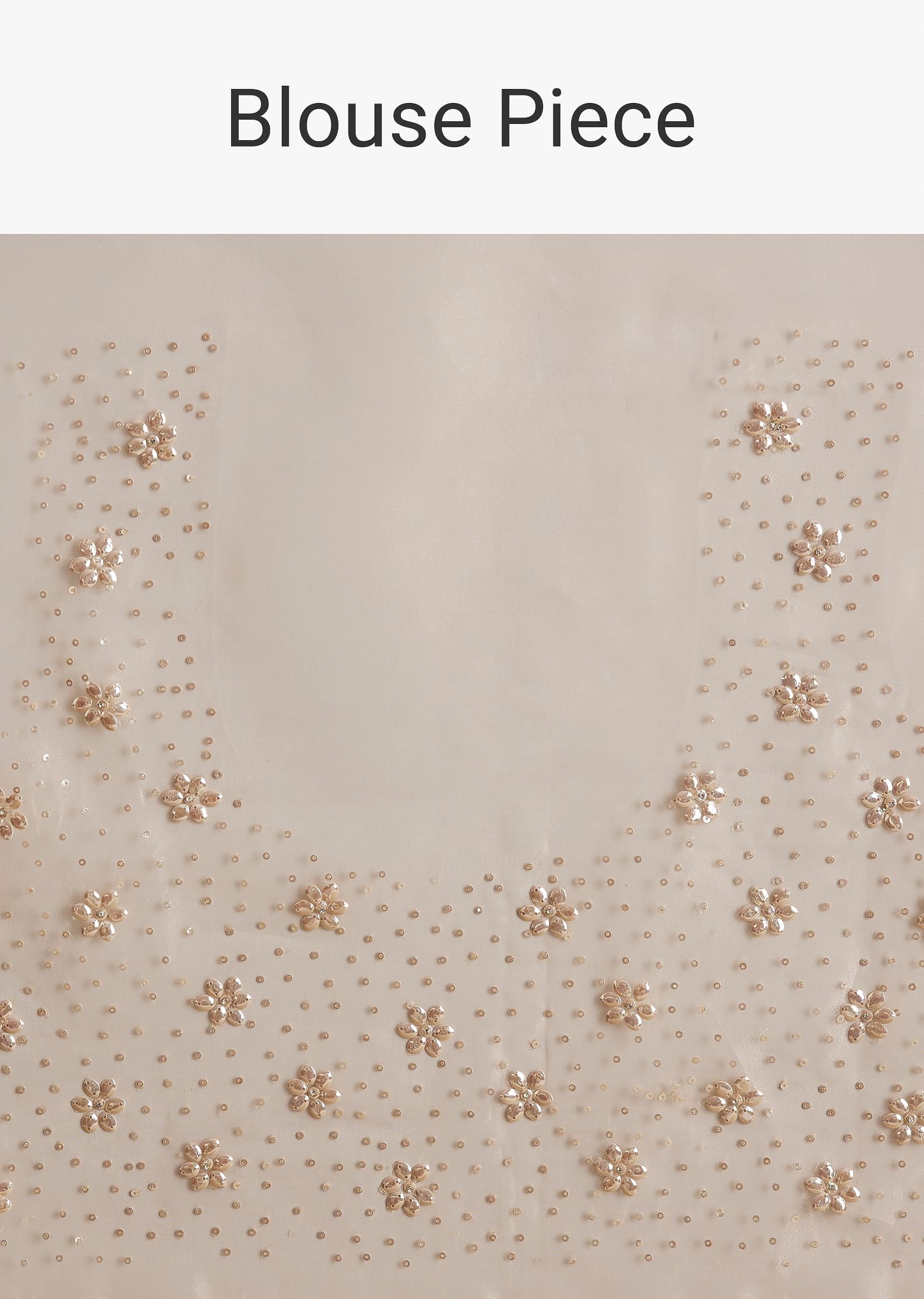 beige-glass-tissue-embroidered-saree-with-scallop-border-sg294645-10_0cdaf144-e565-4c93-8470-193e49bdf9e6.jpg