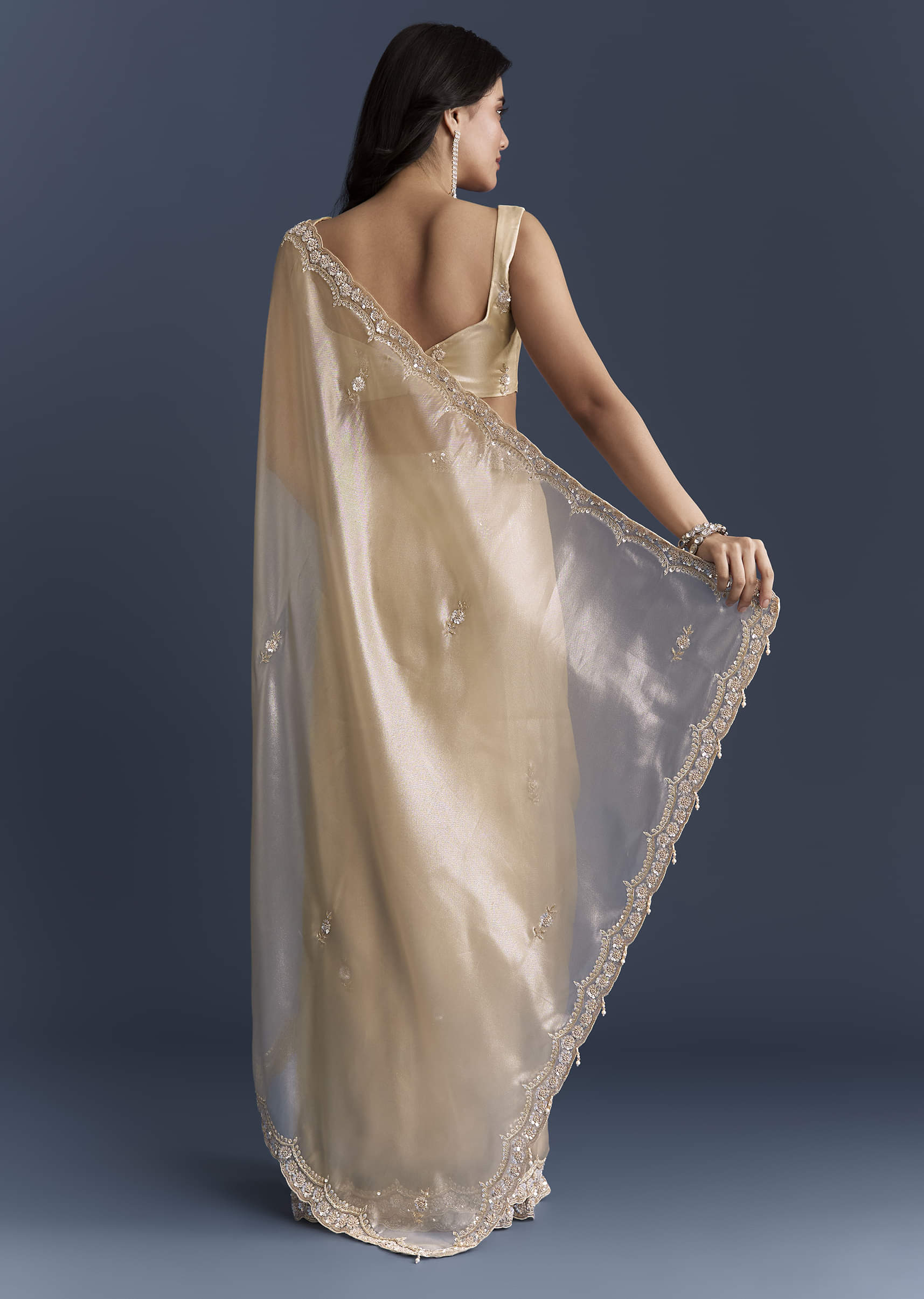 beige-net-saree-with-heavy-hand-embroidery-sg338819-4.jpg