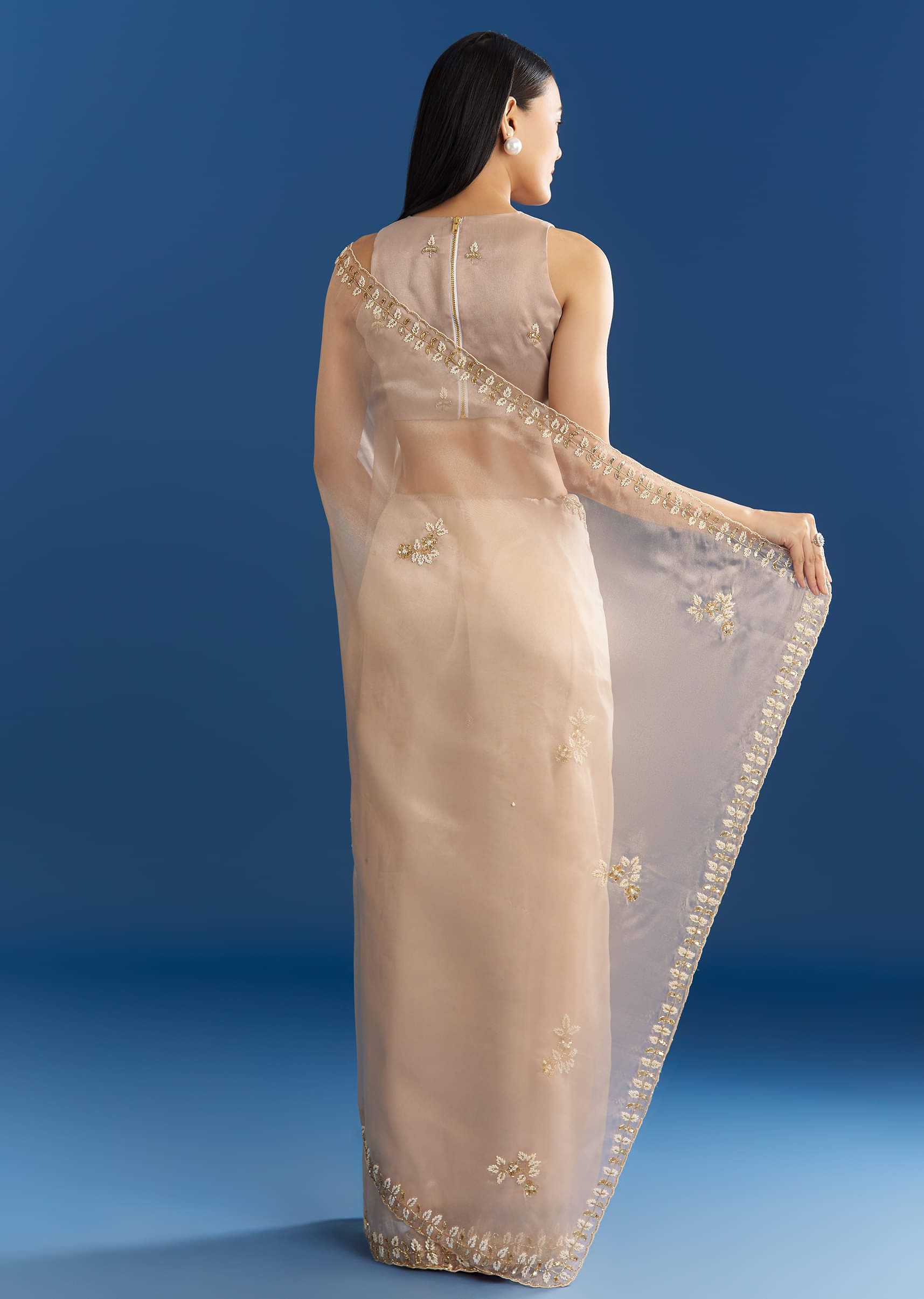 beige-organza-tissue-saree-with-cutdana-detailing-sg284819-4_d9c6f77f-5901-423e-a4d9-ec96201b06da.jpg