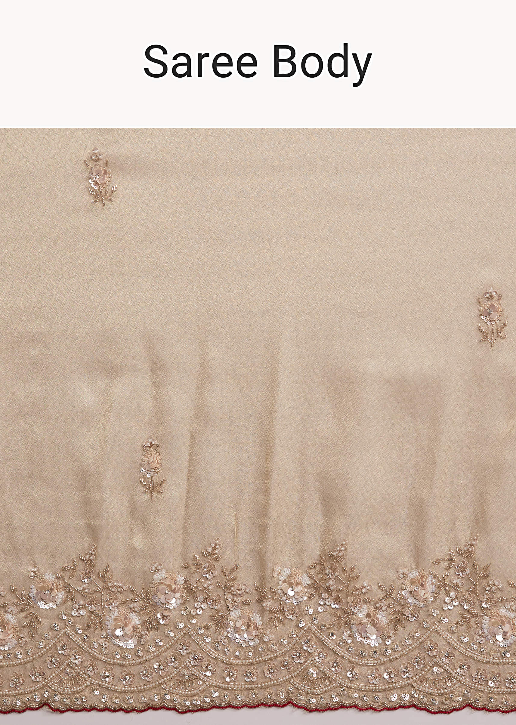 beige-tissue-jacquard-saree-with-heavy-hand-work-sg338665-9.jpg