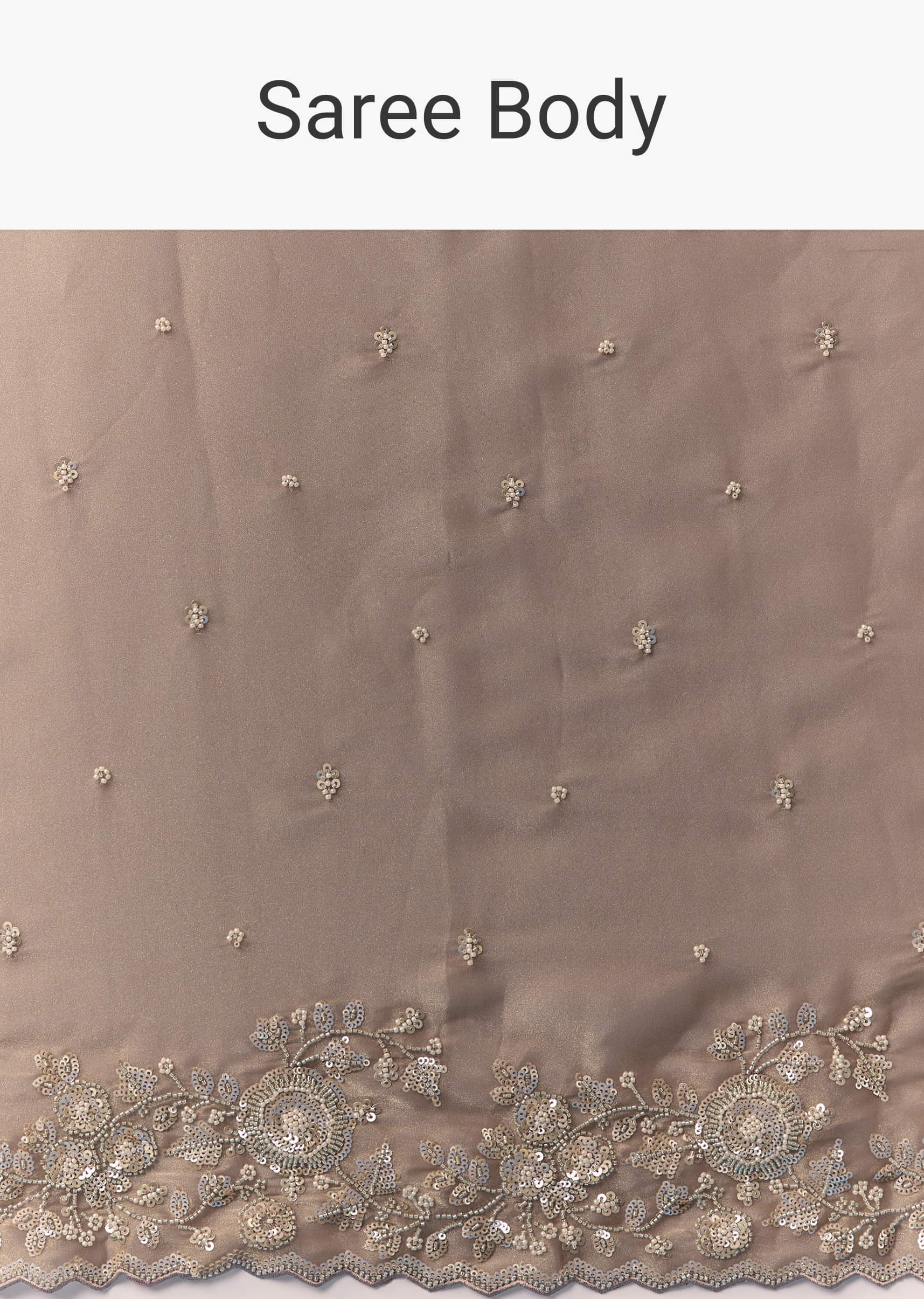 beige-tissue-organza-cutdana-work-saree-with-unstitched-blouse-sg345842-9.jpg