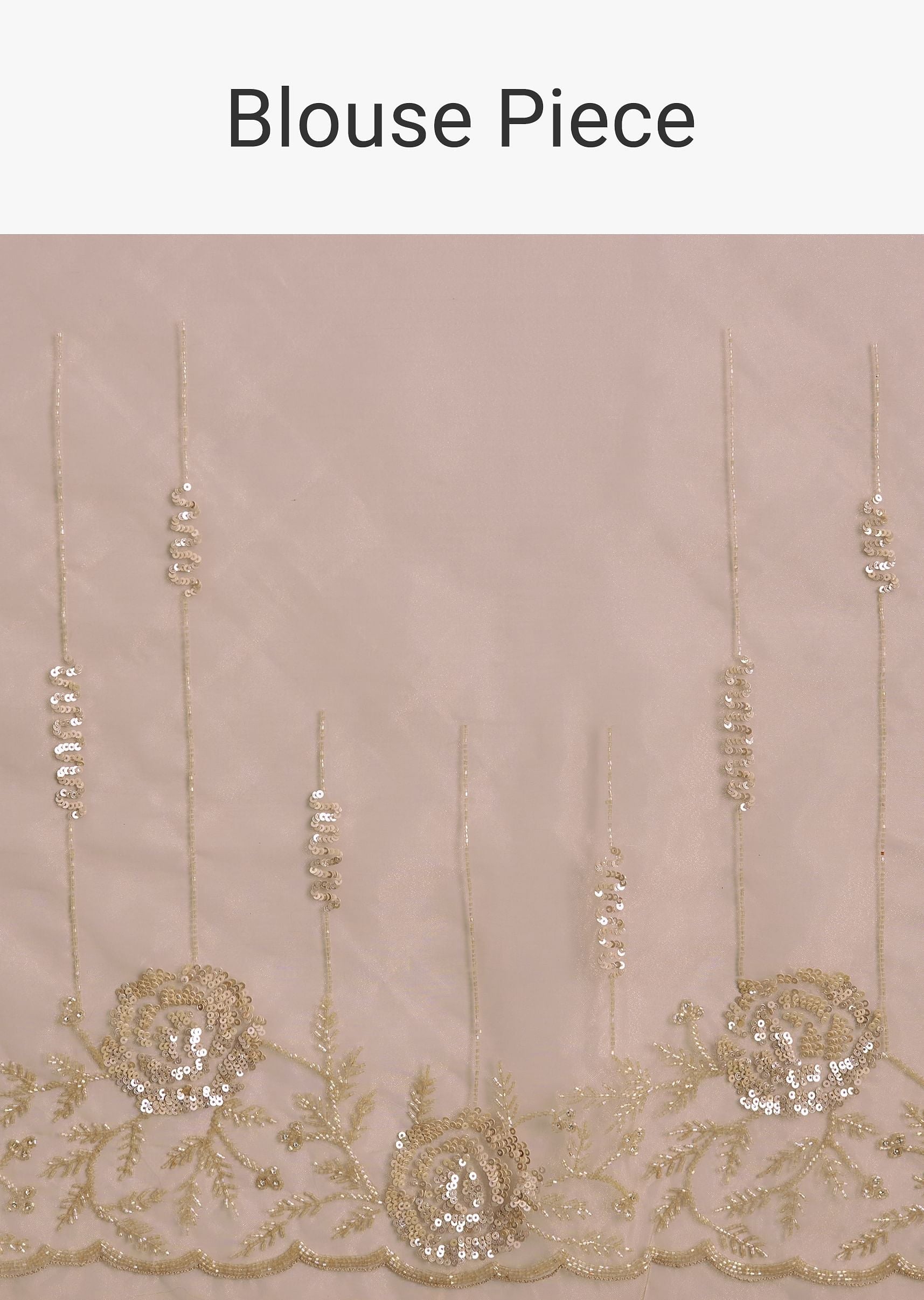 beige-tissue-saree-with-floral-embroidery-and-scallop-border-sg294580-10_fdc6fffd-c49e-446f-bb34-0c03bc2f9497.jpg