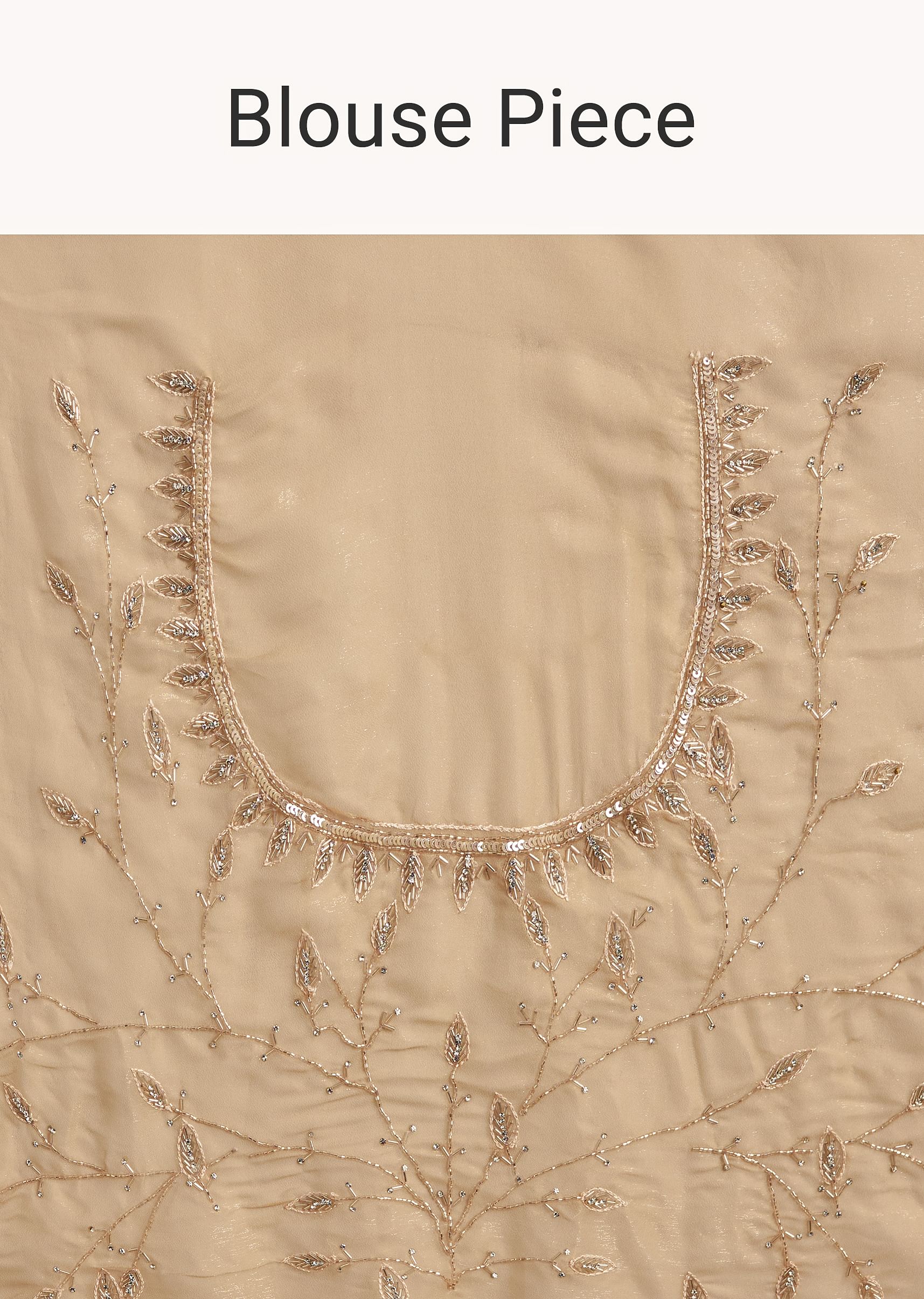 beige-tissue-saree-with-leaf-motif-embroidery-in-sequins-and-cutdana-sg294564-10_8fe0e29f-5d4b-4bb1-ada3-696c9886efa1.jpg