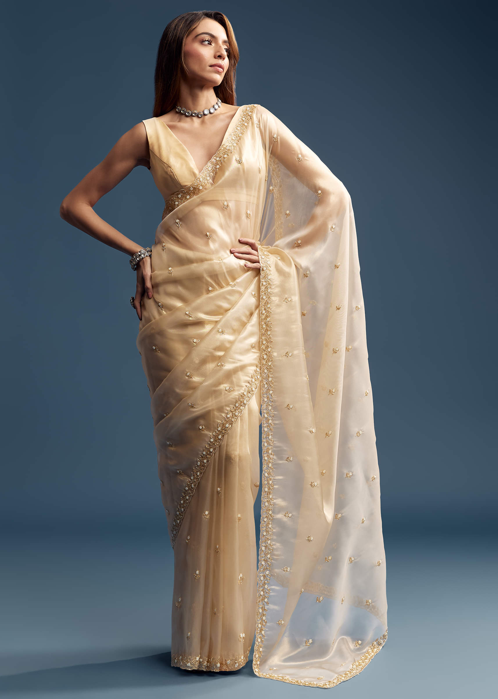 beige-tissue-saree-with-vine-and-floral-embroidery-sg319453-1.jpg