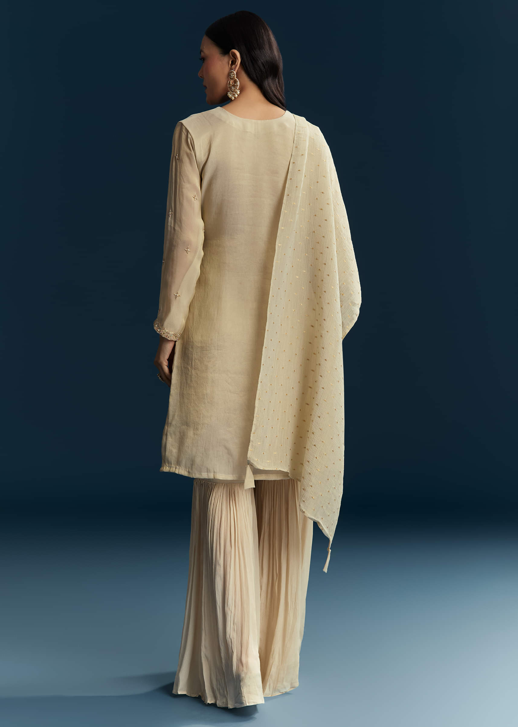 beige-tissue-sharara-suit-with-zardosi-and-thread-work-sg347216-5.jpg