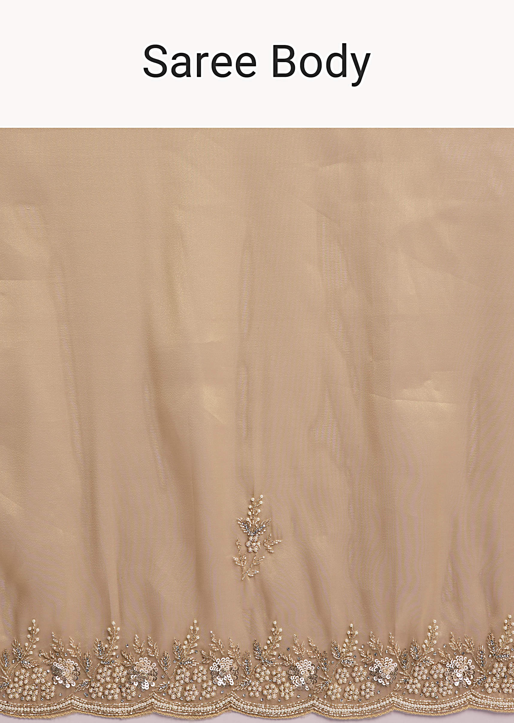 beige-tissue-silk-saree-with-heavy-hand-embroidery-sg338639-9.jpg