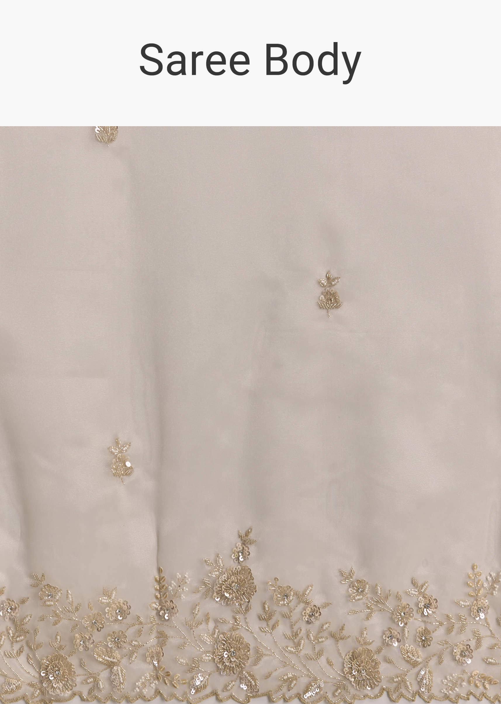 beige_tissue_saree_with_floral_embroidery_and-sg319822-10_1.jpg