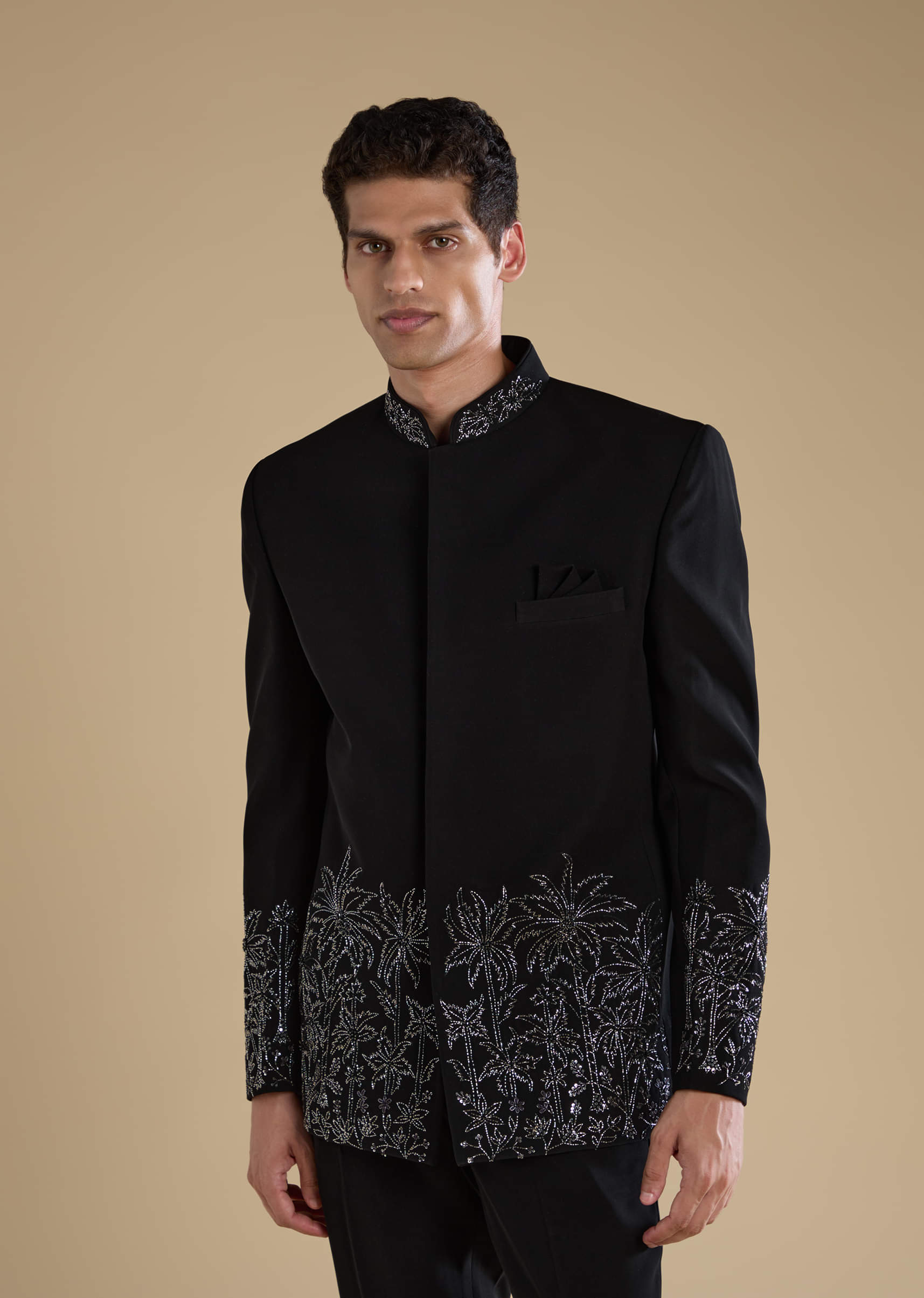black-velvet-jodhpuris-with-cutdana-work-sg366177-5.jpg