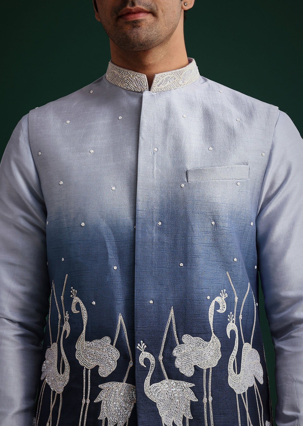 blue_ombre_zardosi_work_jacket_set_with_flamingo_motifs-sg259829_4_8013e196-542d-44d0-98b7-15609d312f47.jpg