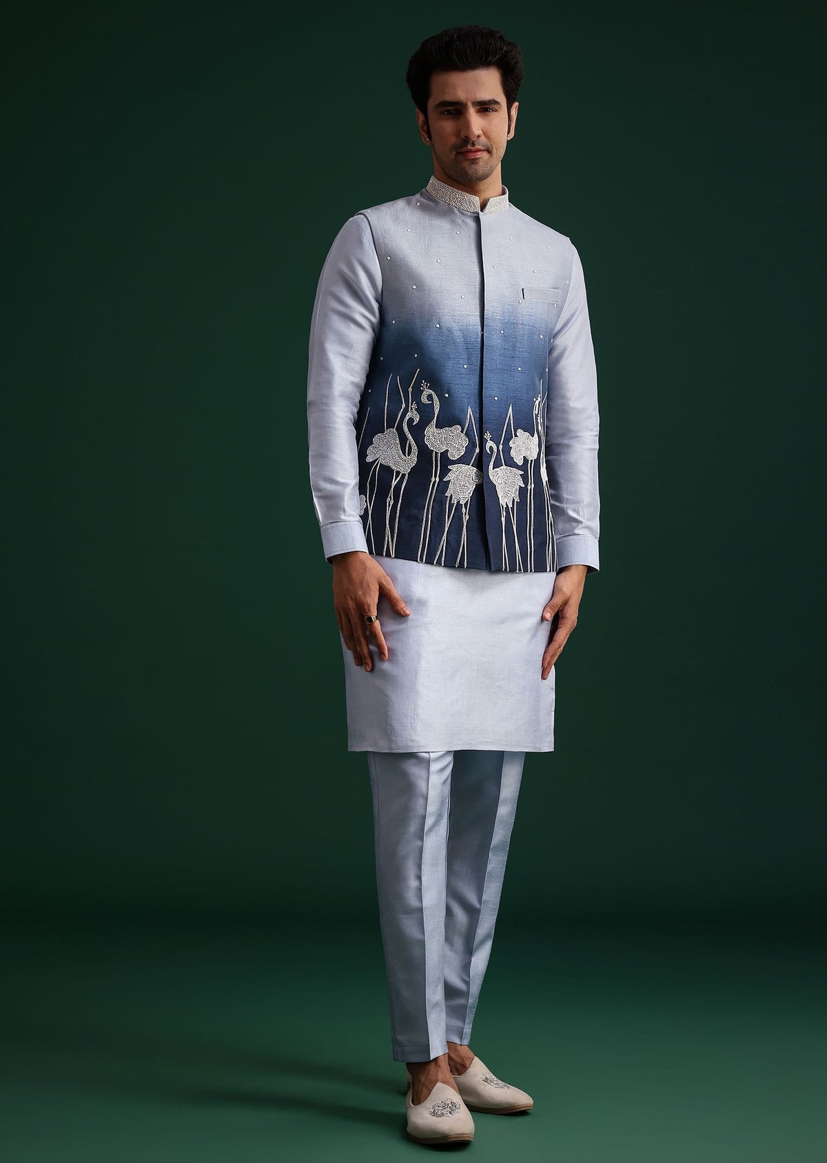 blue_ombre_zardosi_work_jacket_set_with_flamingo_motifs-sg259829_8_a35b072b-f7b5-4c1a-af1d-019d0ade7d83.jpg