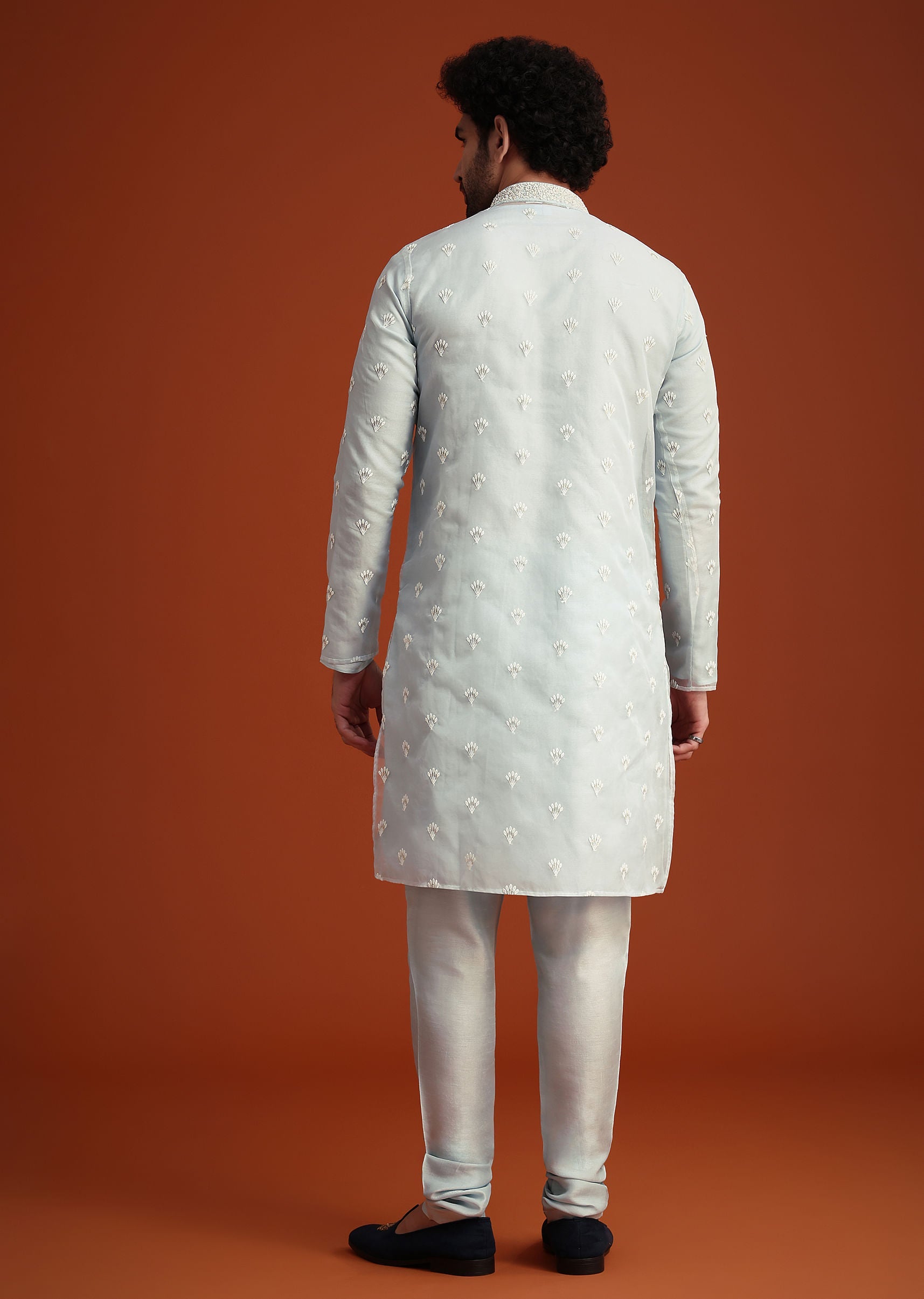 blue_organza_aligarhi_kurta_with_zari_embroidery-sg250788_2_725b55a0-f2c1-4dbe-9e74-fec52443c01d.jpg