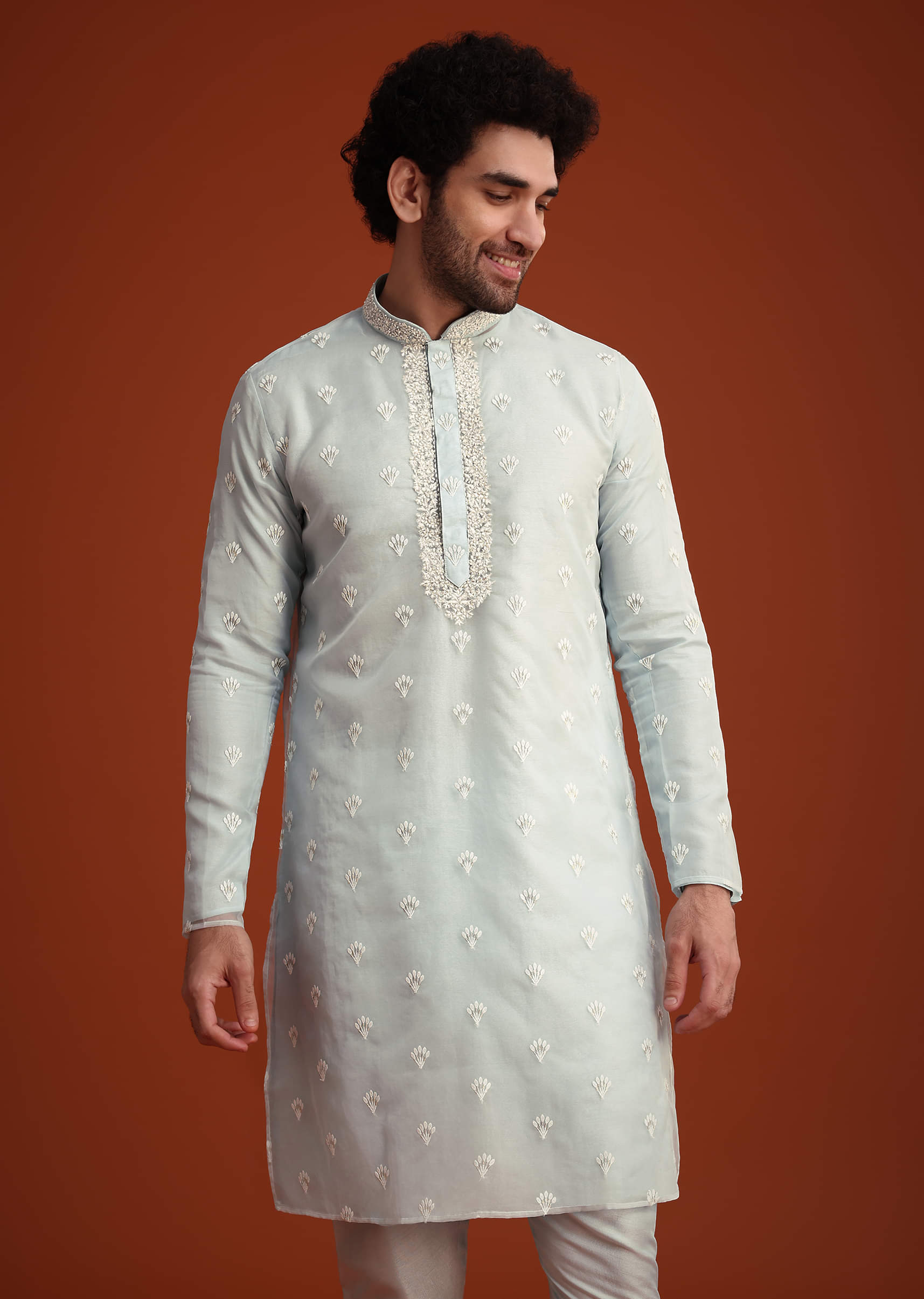 blue_organza_aligarhi_kurta_with_zari_embroidery-sg250788_4_64e61432-4771-4d63-8b2b-f2905f983920.jpg