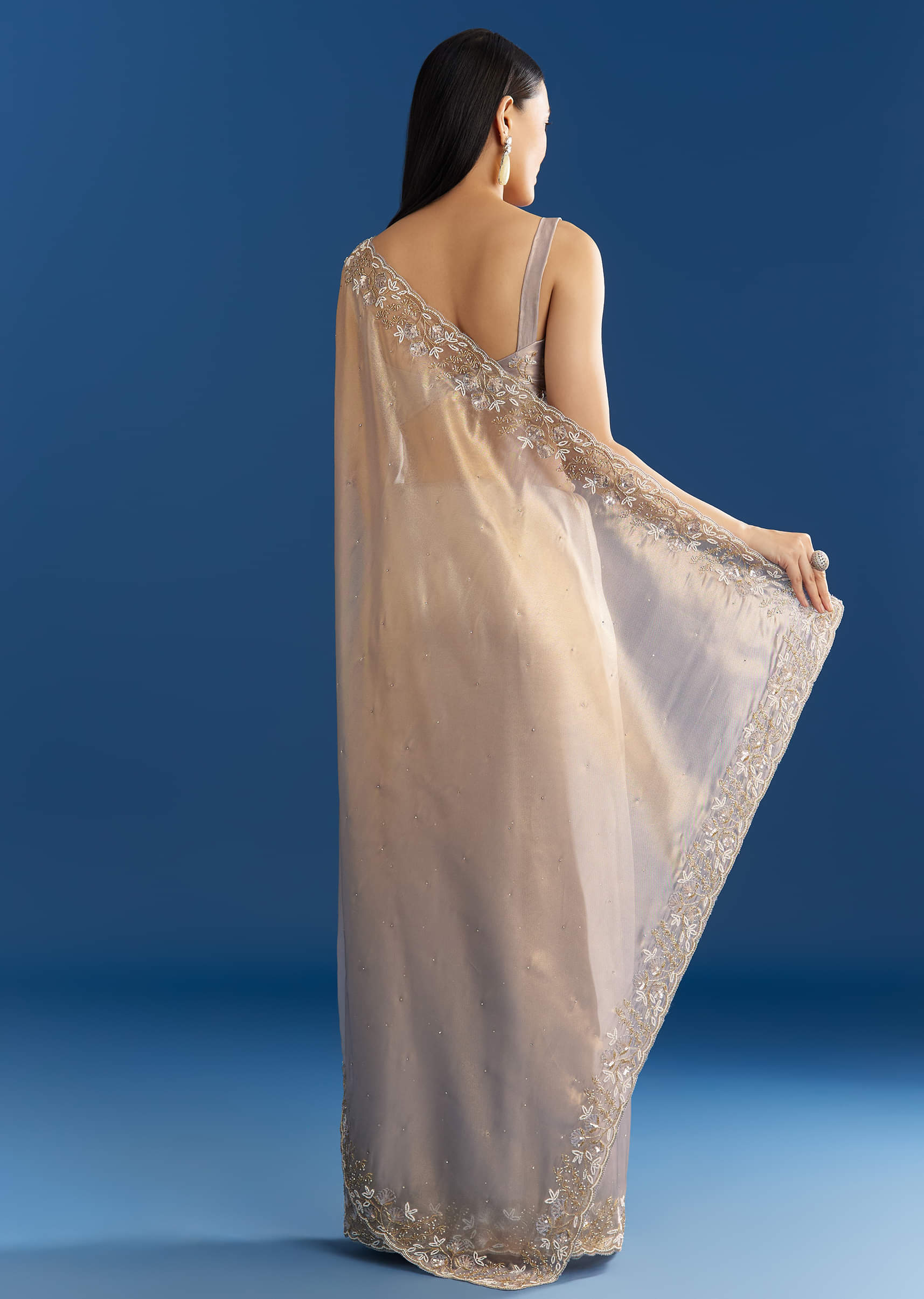 cloud-grey-organza-tissue-saree-with-embellished-border-sg284734-4_7d8fcae2-fab0-4183-8370-45b7b5a3bdc8.jpg