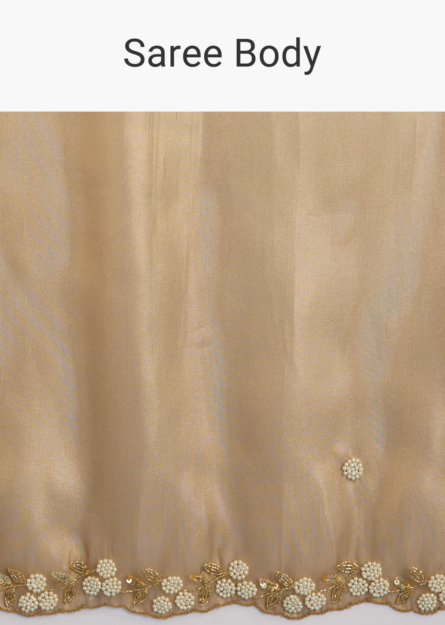 copper-brown-organza-tissue-saree-with-beaded-border-sg284840-9_6d949679-e96a-4841-a82d-b5ef4ce5a788.jpg