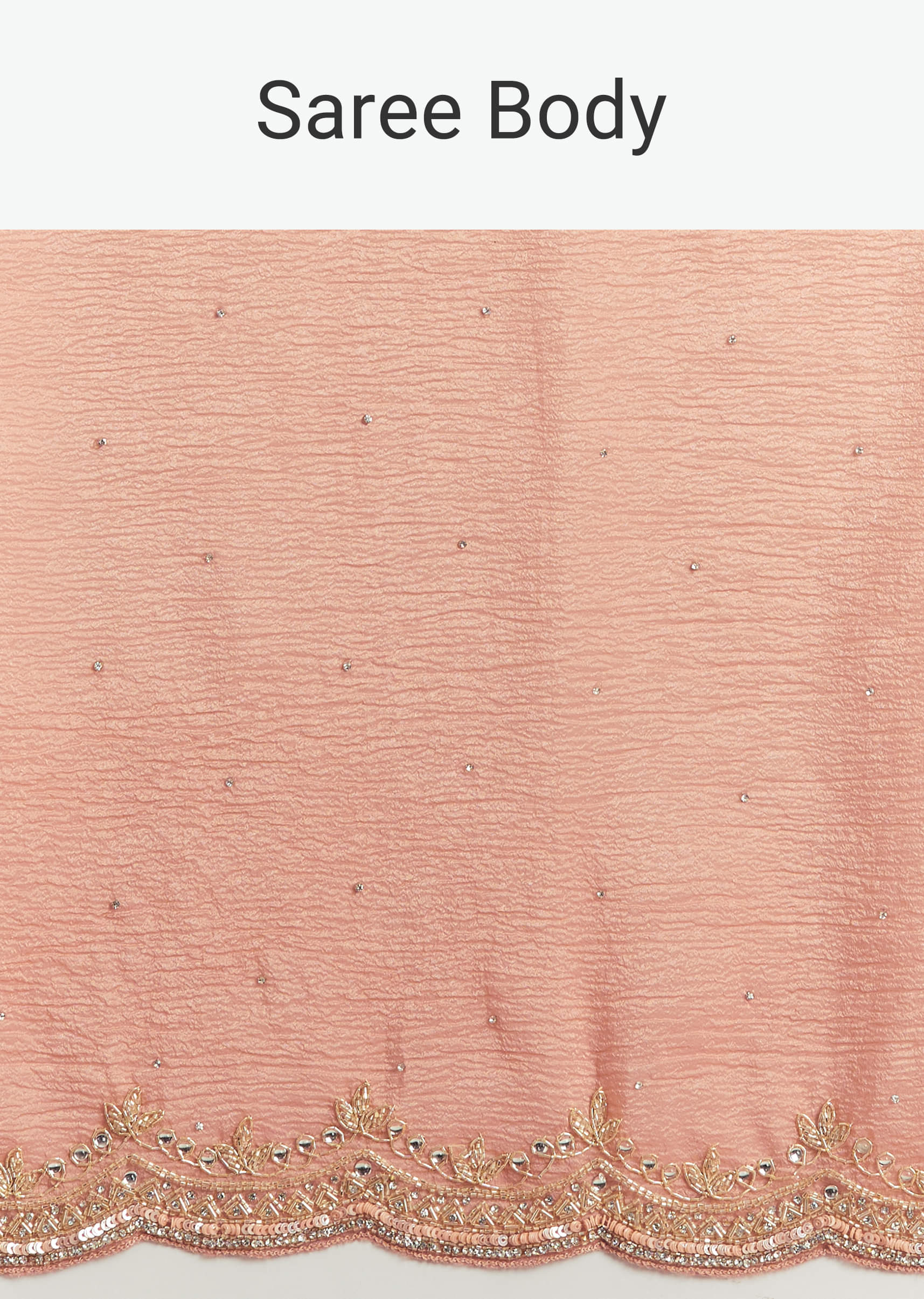 copper-tissue-saree-with-scallop-border-and-sequin-embroidery-sg317864-9.jpg