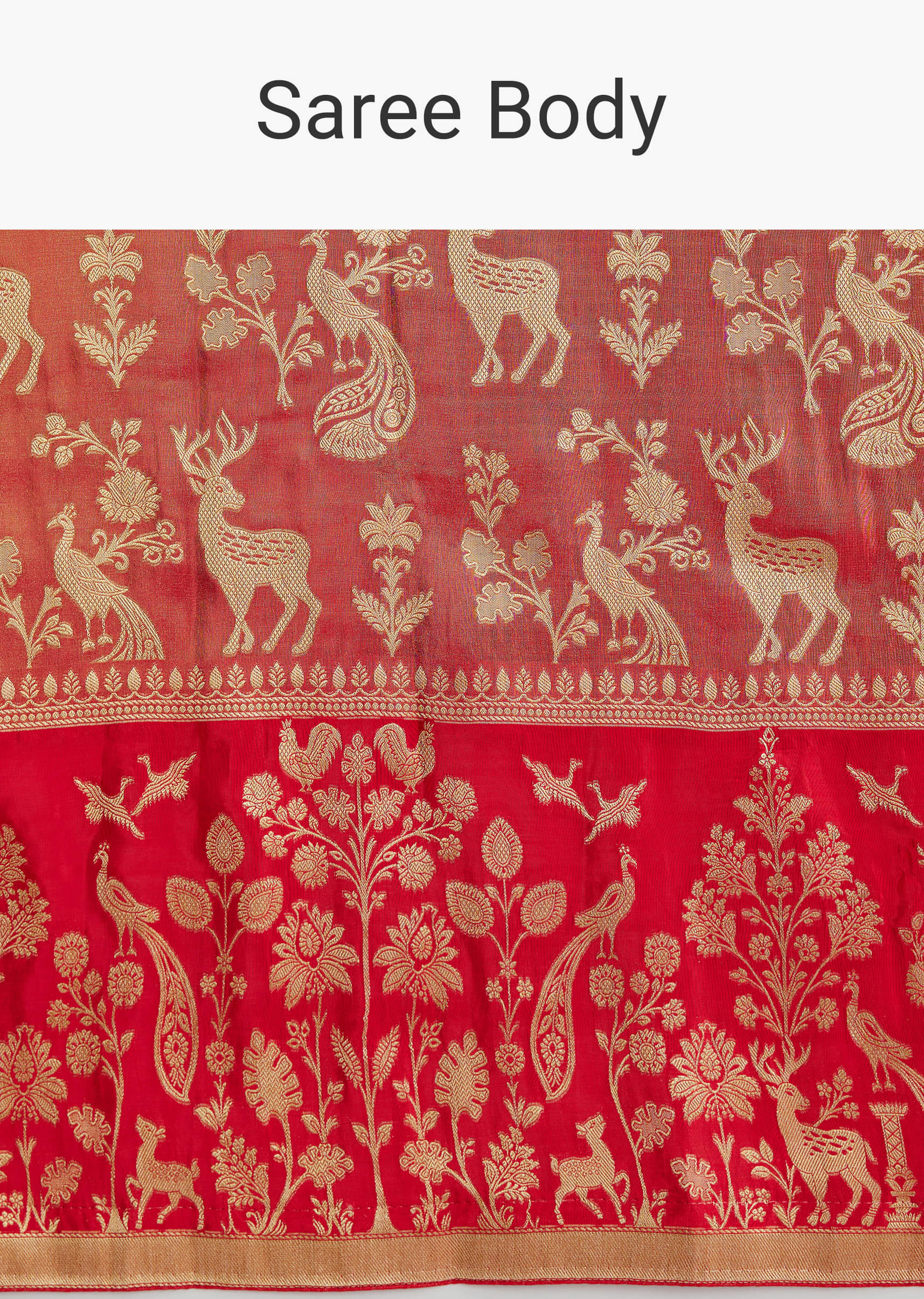 coral-red-silk-woven-saree-with-zari-work-sg350481-9.jpg
