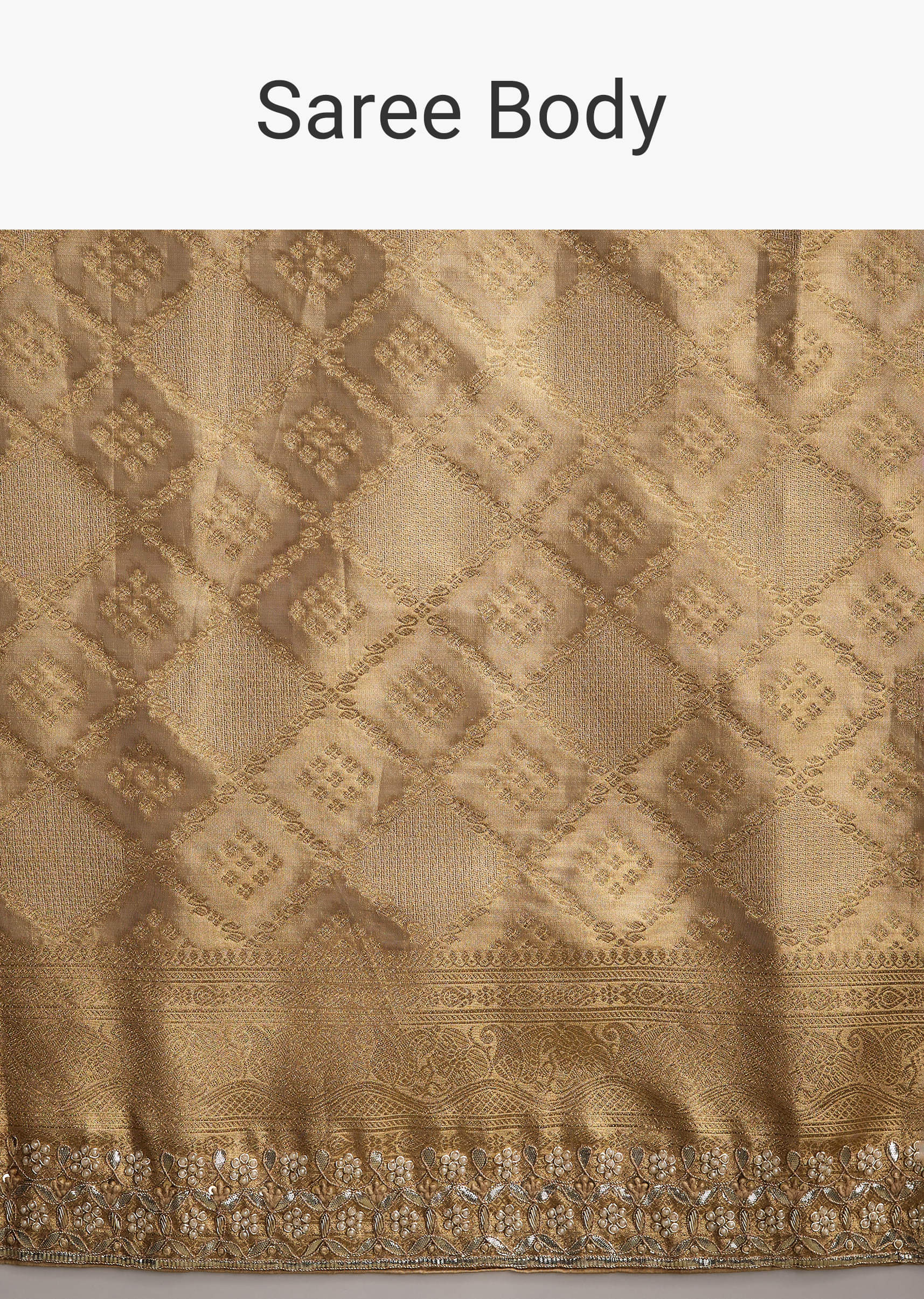 cream_tissue_brocade_saree_with_gotapatti_and_moti-sg316233-9_1.jpg