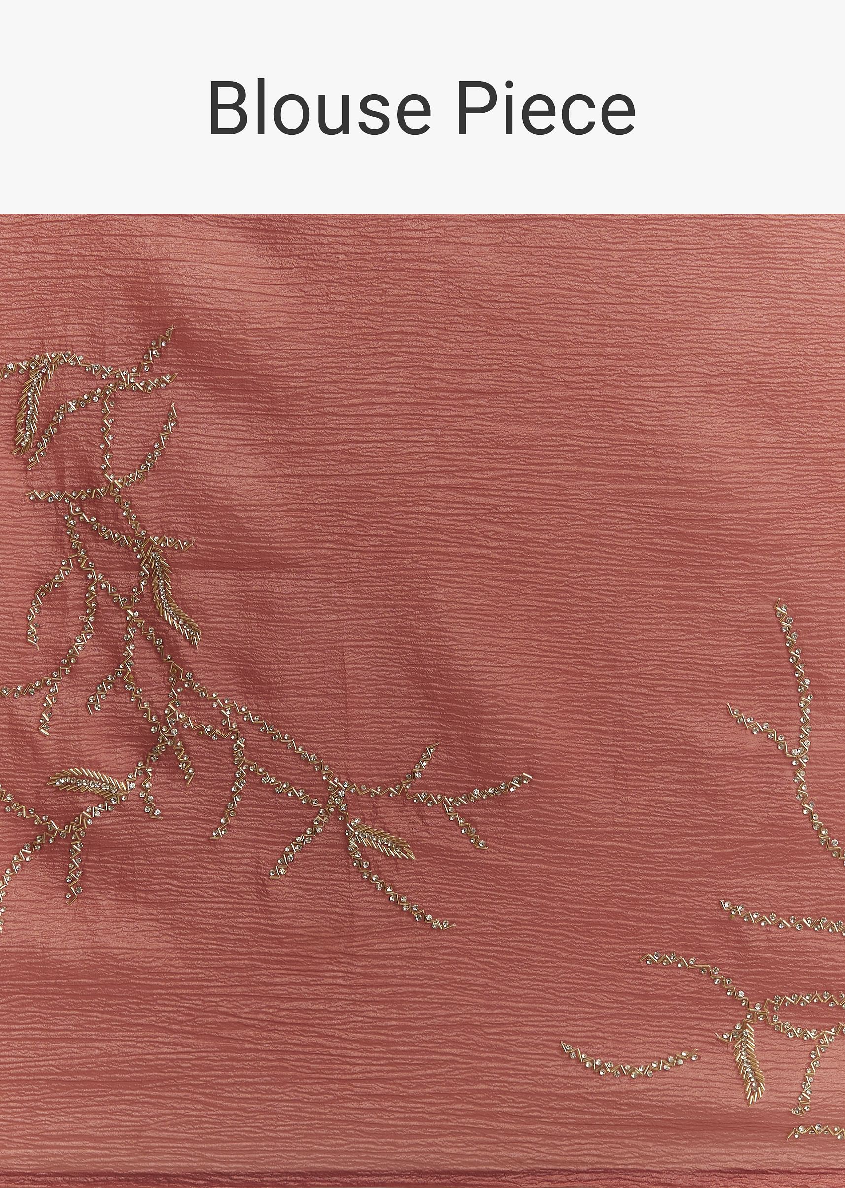dusty-brown-crushed-tissue-saree-with-scallop-border-and-stone-embroidery-sg294663-10_66a5794f-910c-45a9-a1f3-93b4b195e6a1.jpg