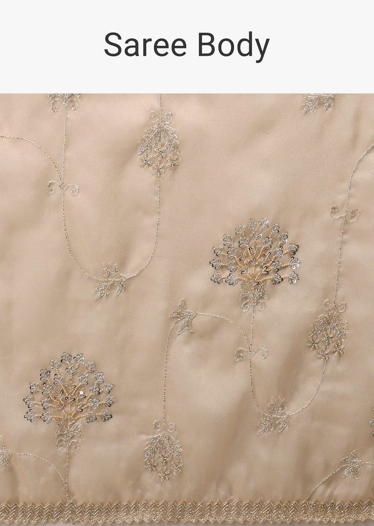 frosted_almond_tissue_saree_in_zardozi_embroidery-k0911231y-sg97398_1_2cb44cba-f374-42c7-935b-d987de5e4350.jpg