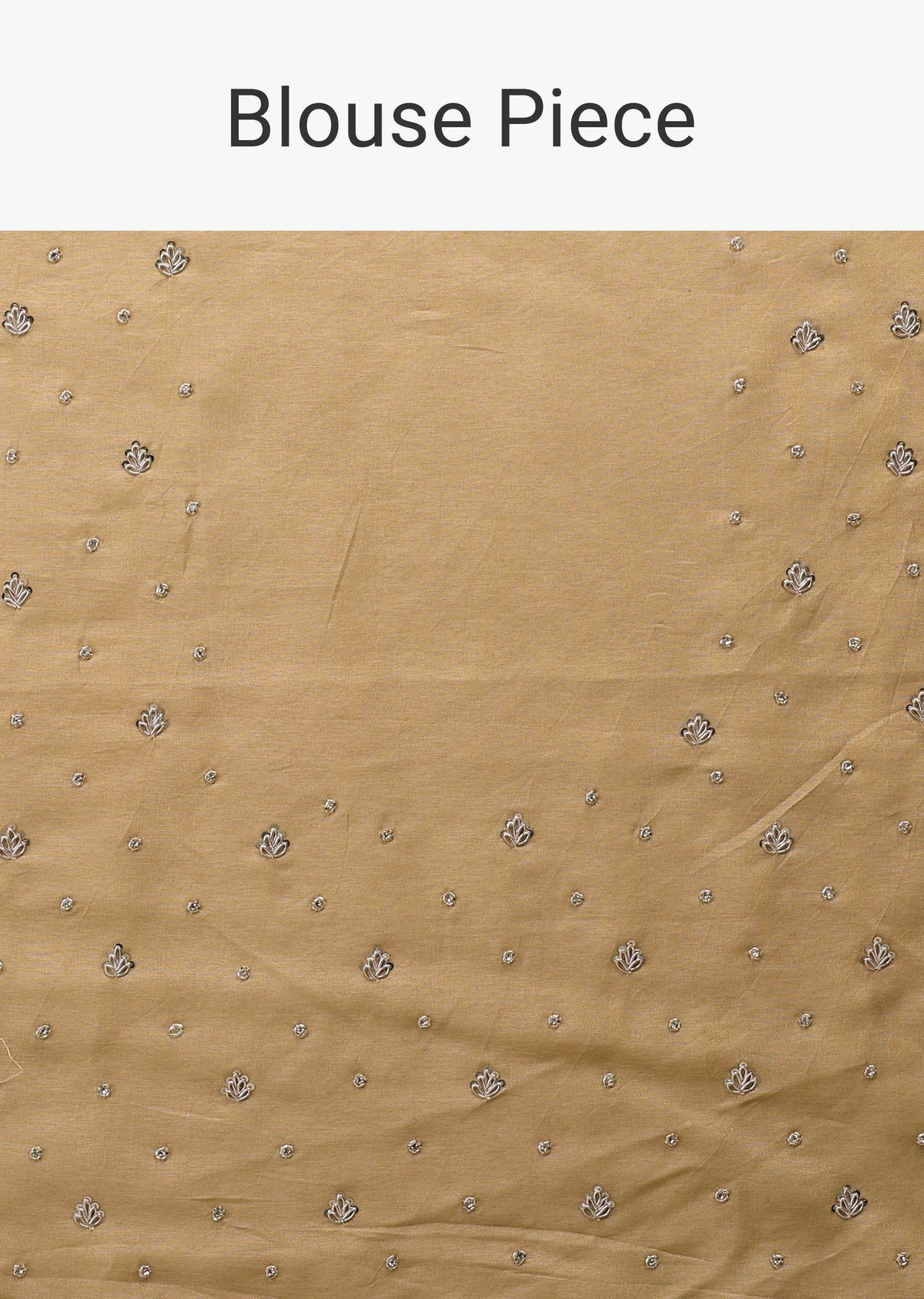 frosted_almond_tissue_saree_in_zardozi_embroidery-k0911231y-sg97398_9_d4e6f8a2-5f13-439e-943b-1757a3cda5e6.jpg