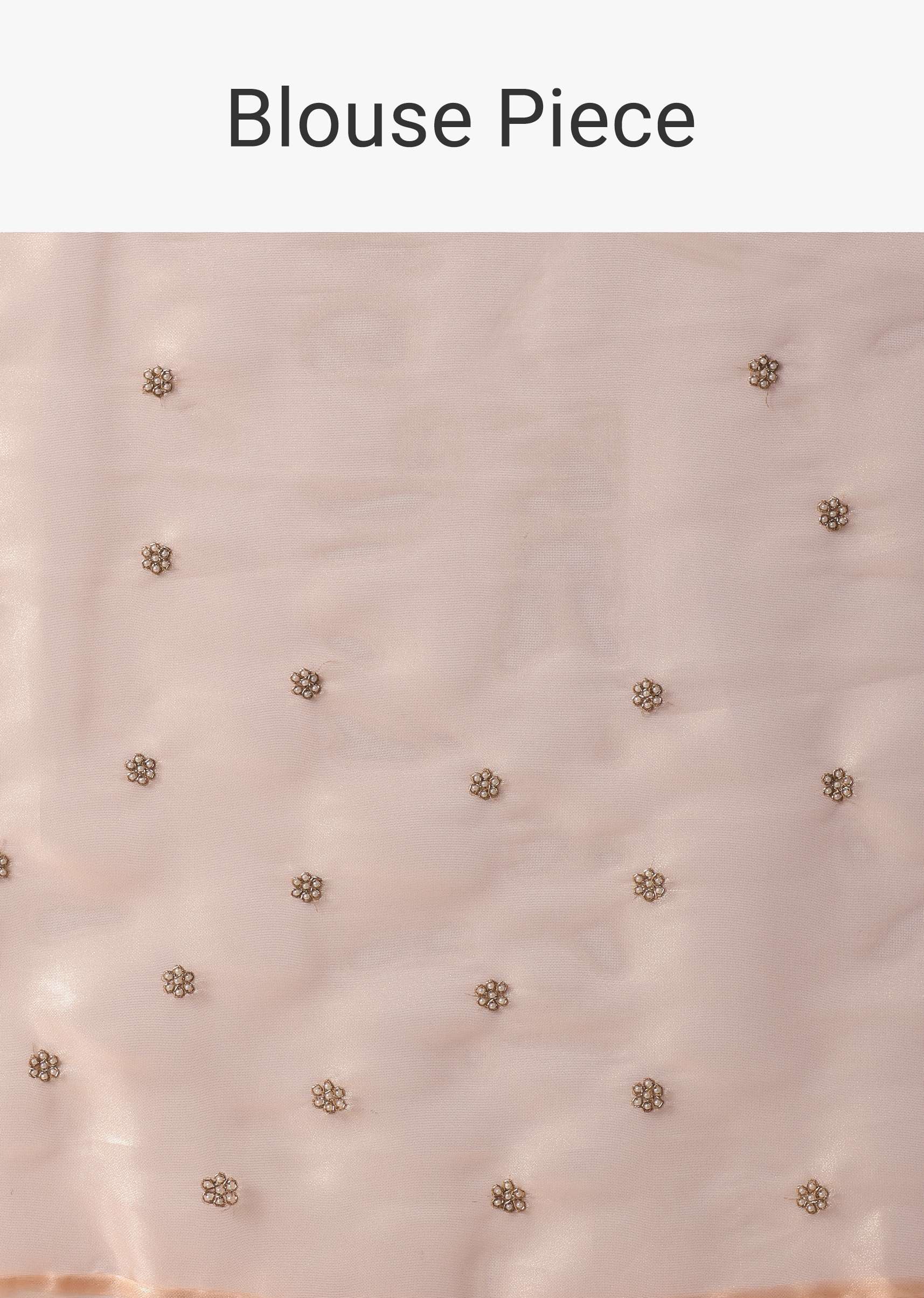 gold_and_brown_toned_saree_in_tissue-sg157471_4_6309fca6-2514-455f-9de5-f34c66fd2272.jpg