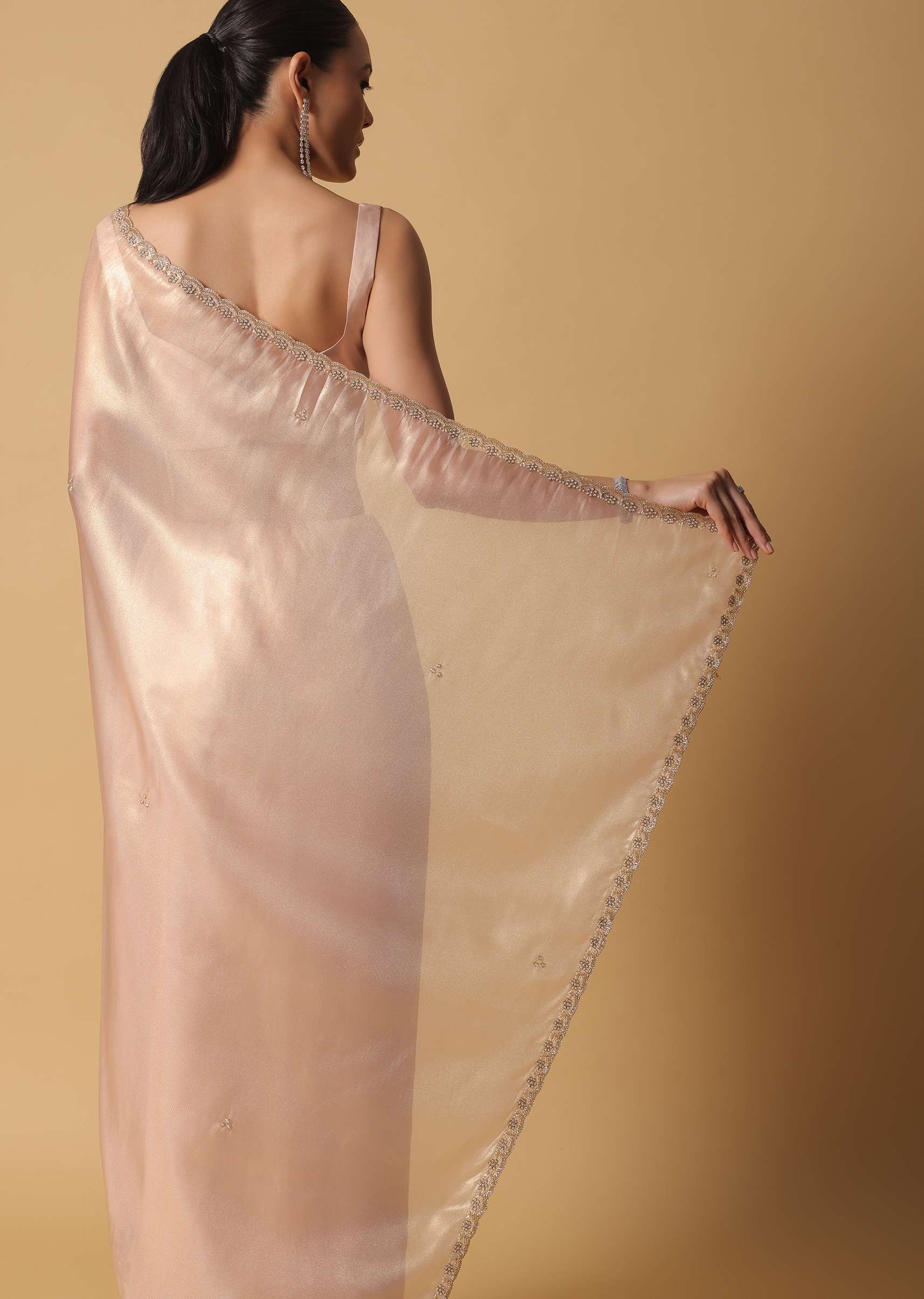 gold_and_brown_toned_saree_in_tissue-sg157471_6_ef660e7b-623d-4699-913f-20a5d66236f7.jpg