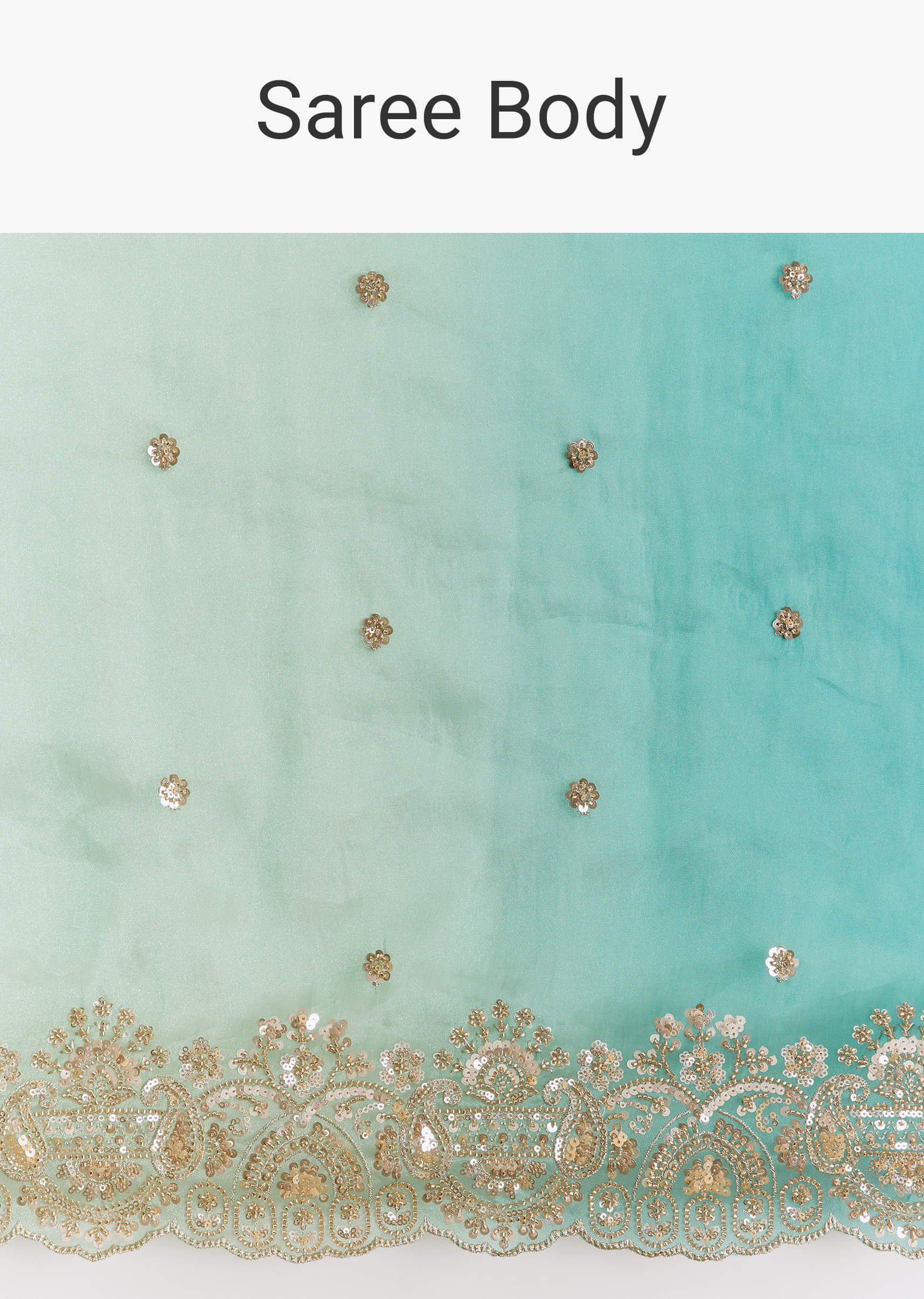 green-shaded-tissue-saree-with-floral-embroidery-and-sequins-blouse-sg319892-9_ca7fd715-88b5-4eef-895a-23ff0c7ff570.jpg