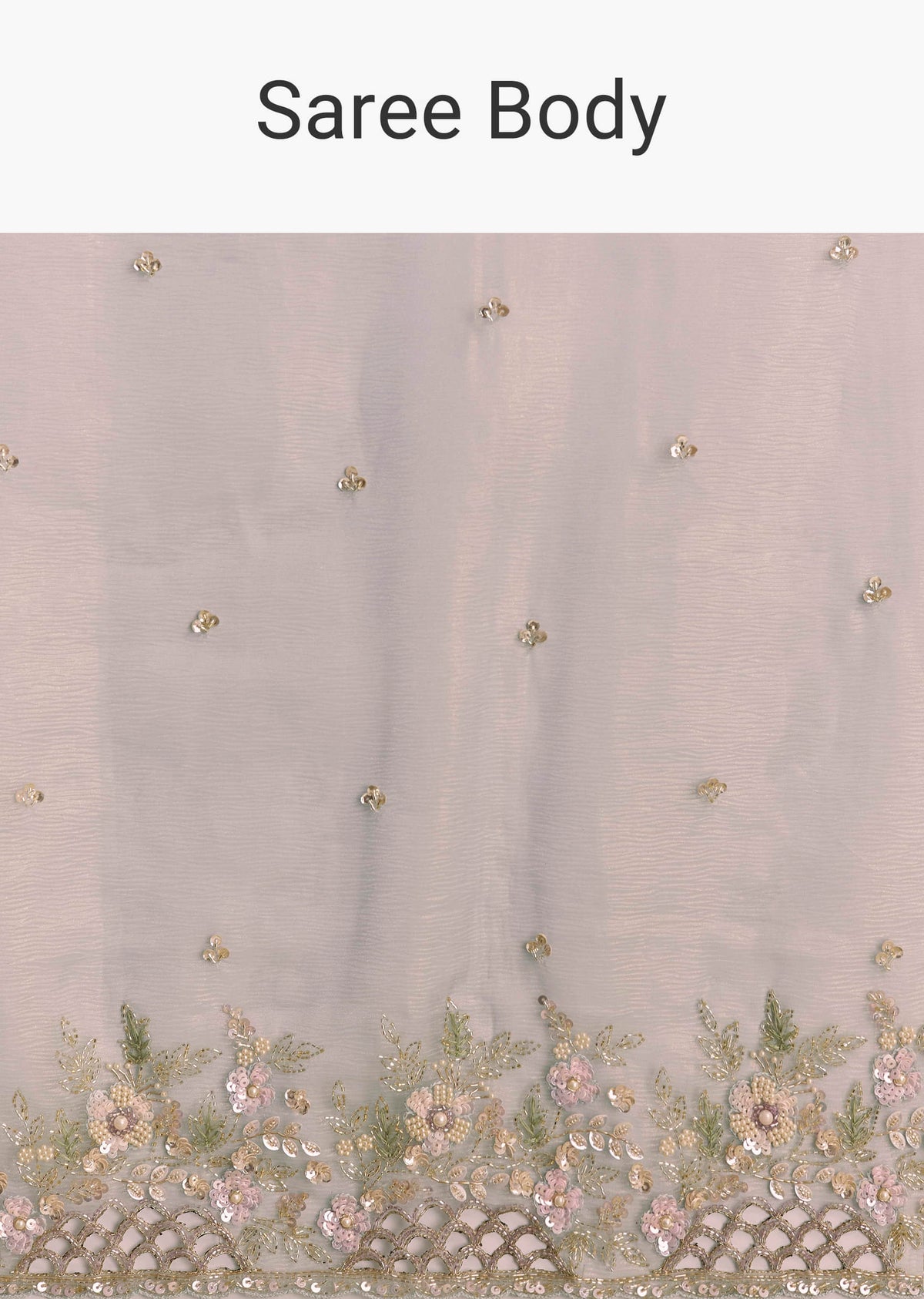 grey_tissue_saree_with_floral_embroidery_and_cutwork-sg319811-10_2.jpg