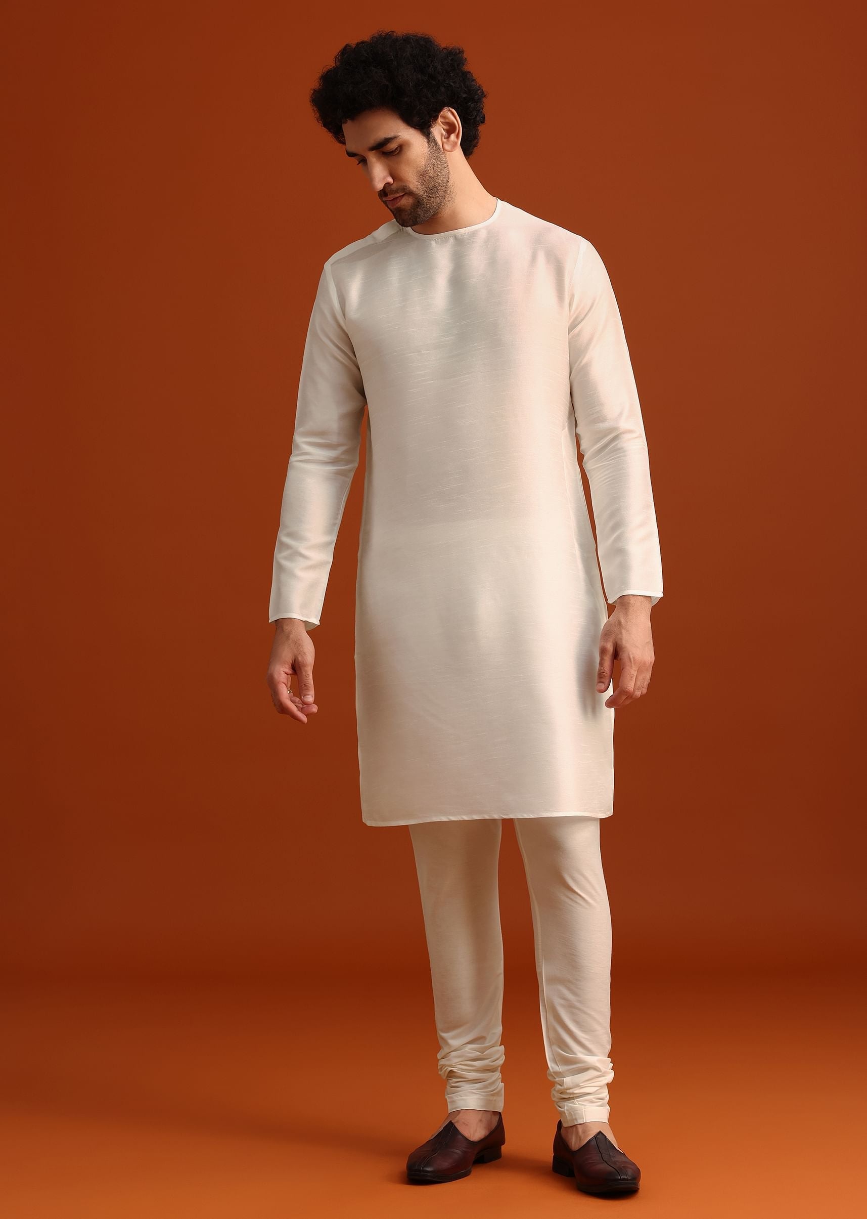 ivory_organza_zari_embroidered_kurta_set_with_butti_work_-sg250055_16_c3241391-660b-45a0-9982-3b488b71c19f.jpg
