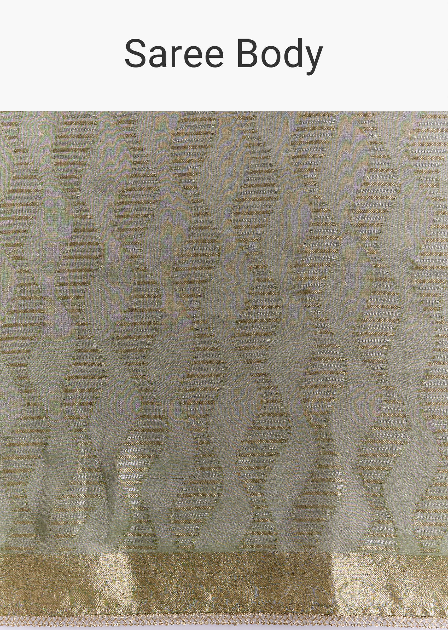 light-green-tissue-saree-with-subtle-weave-and-zari-border-sg351928-9.jpg