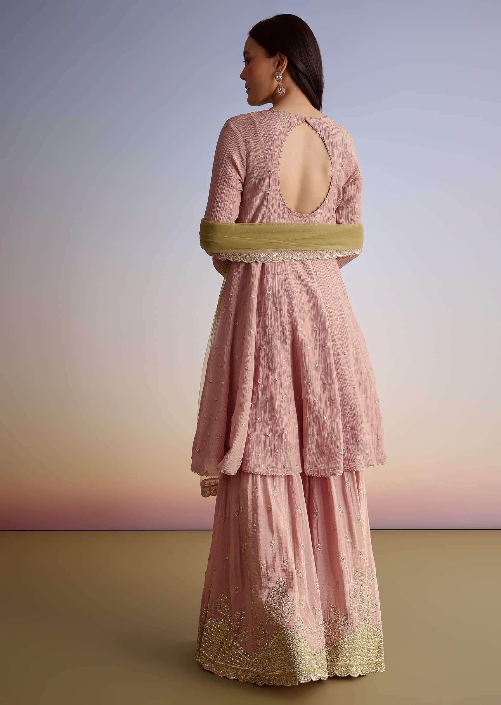 light-pink-crush-tissue-sharara-suit-with-zari-sequins-sg325598-5_a3a98921-38ba-4f99-8912-469b461e89b4.jpg