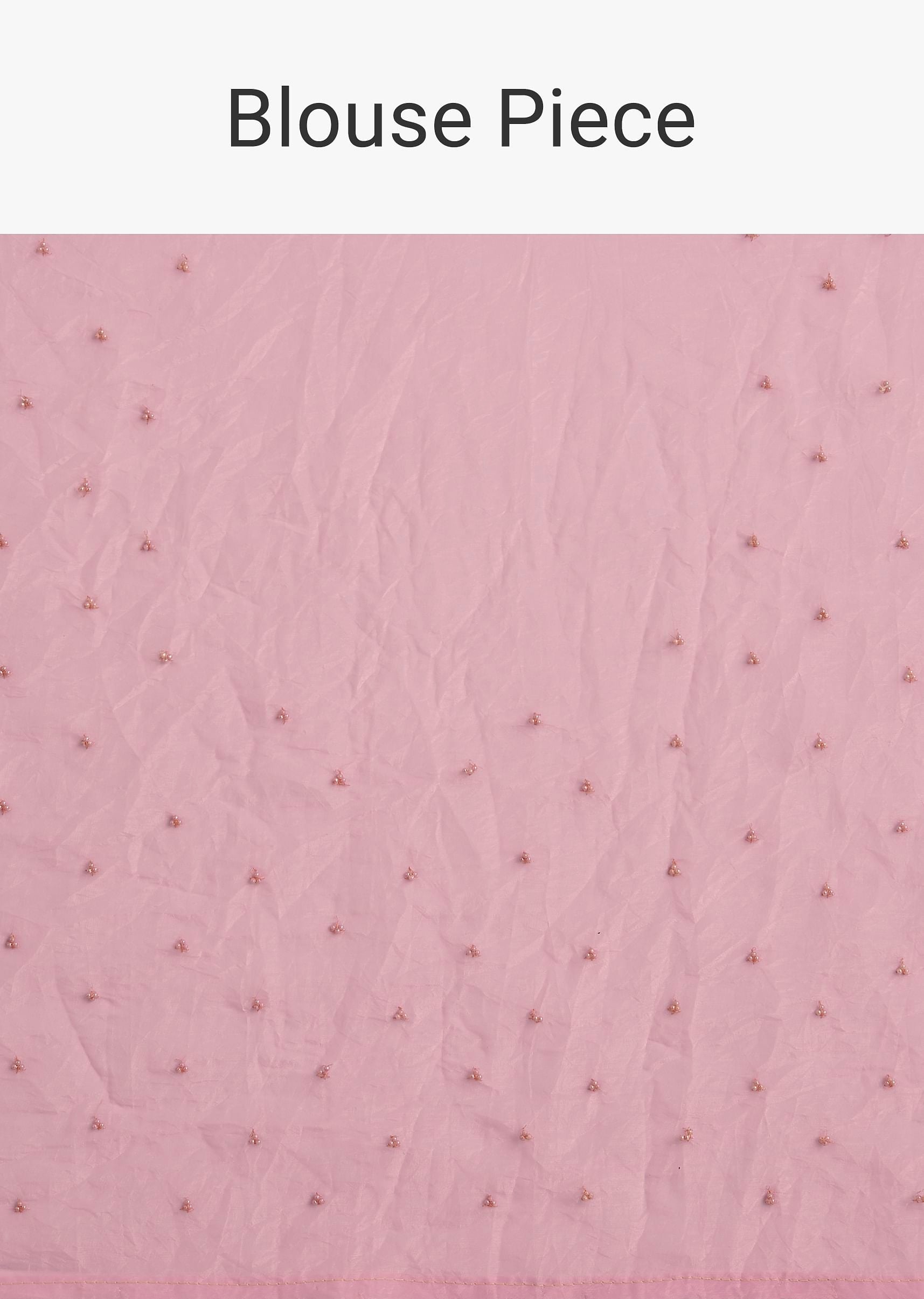 light-pink-tissue-embroidered-saree-with-cutwork-scallop-border-sg294570-9_cb4f226e-ff2e-4462-bcf1-4ffbbe0b18ea.jpg