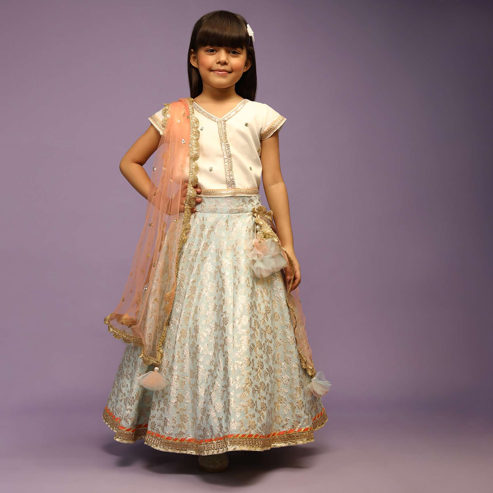 light_blue_lehenga-d038fk1384y-sg40760_3_74f4905f-6722-4b44-ab60-fcf29a7776aa.jpg