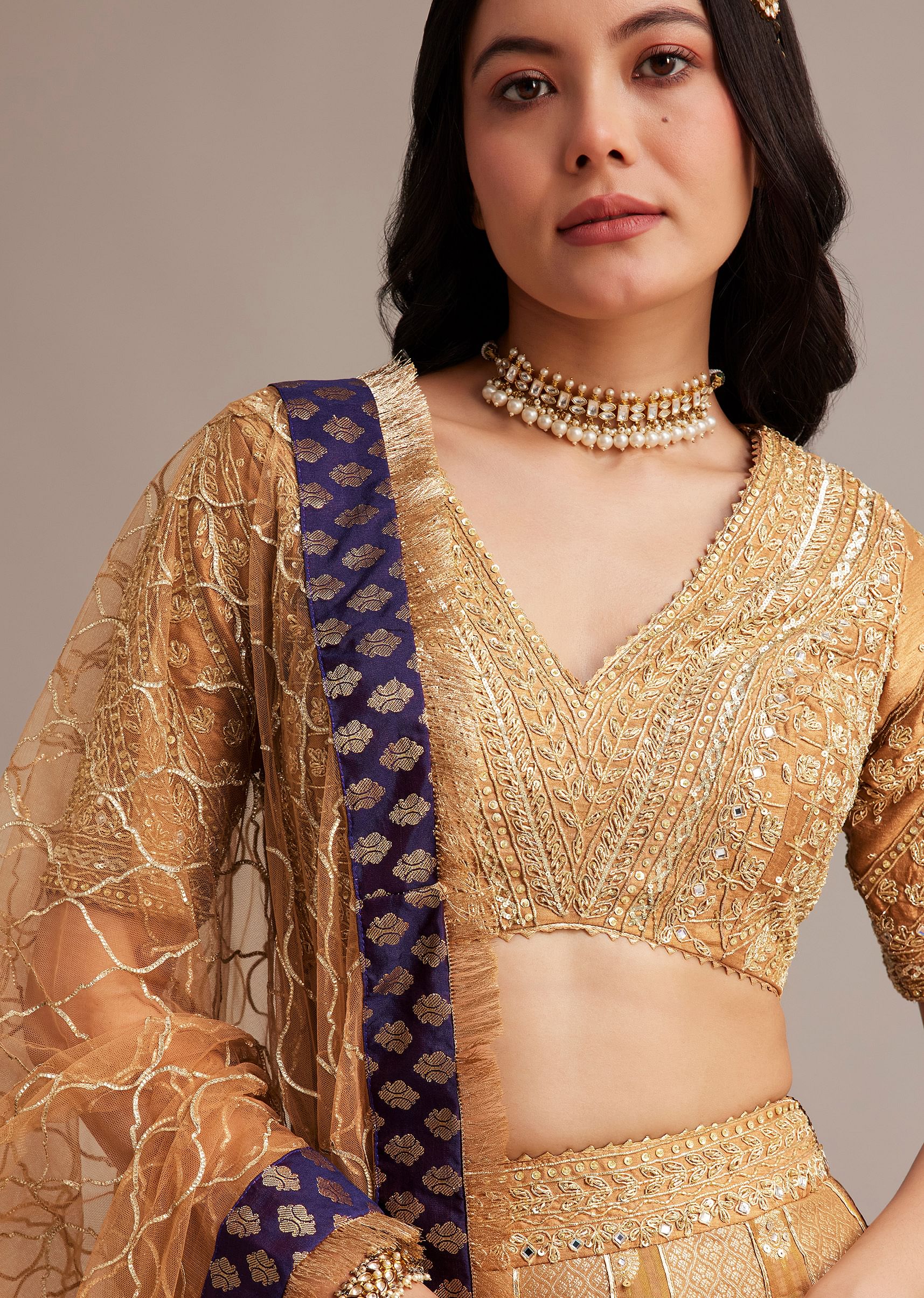light_brown_banarasi_silk_lehenga_set_with_zardosi_work-sg300624_4_c00397ef-cd97-46ef-b056-a8dbef057dba.jpg