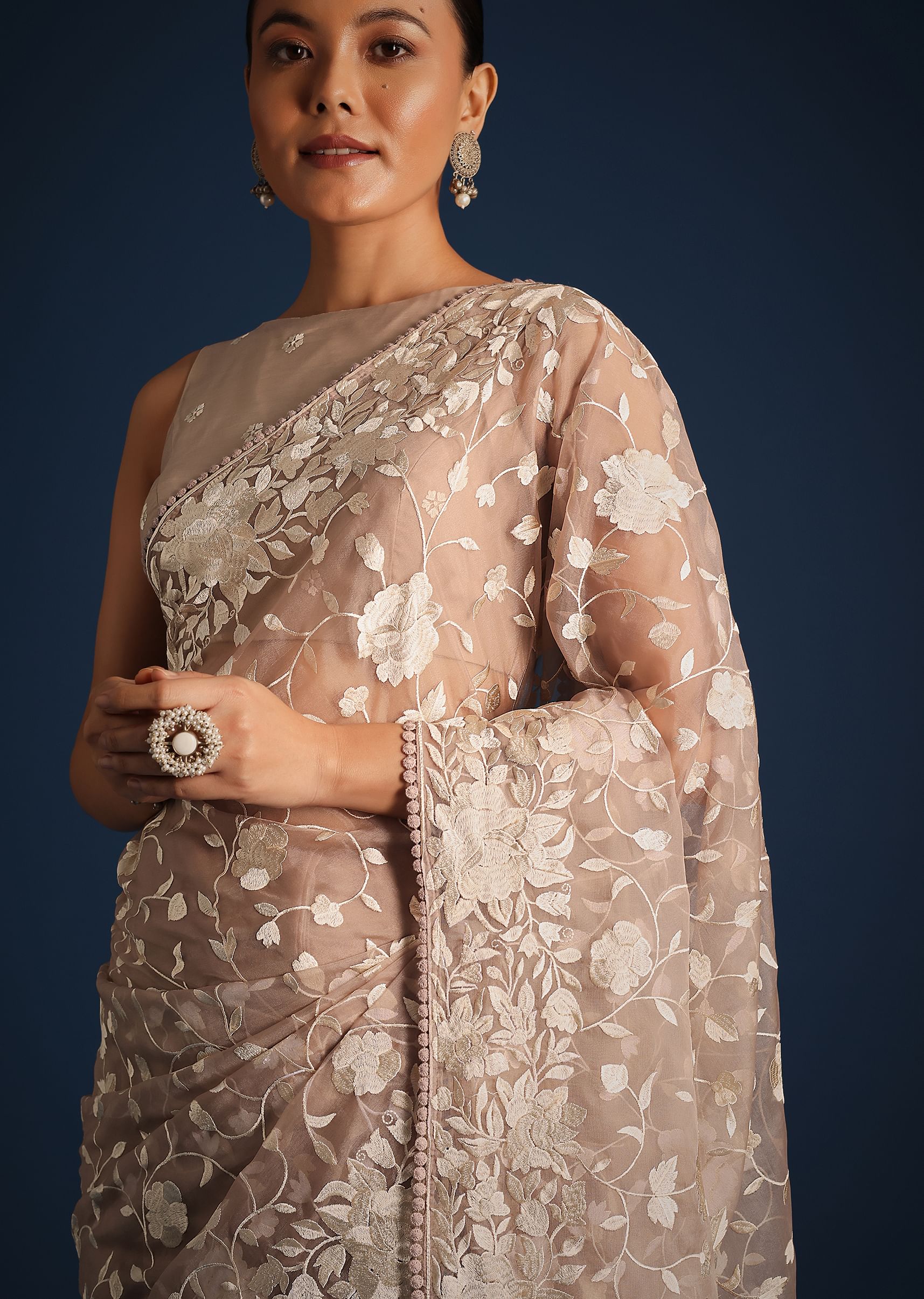 light_brown_organza_resham_thread_embroidered_saree-sg261618_1_102775dd-1012-4055-bc5a-20ef5c0cea2d.jpg