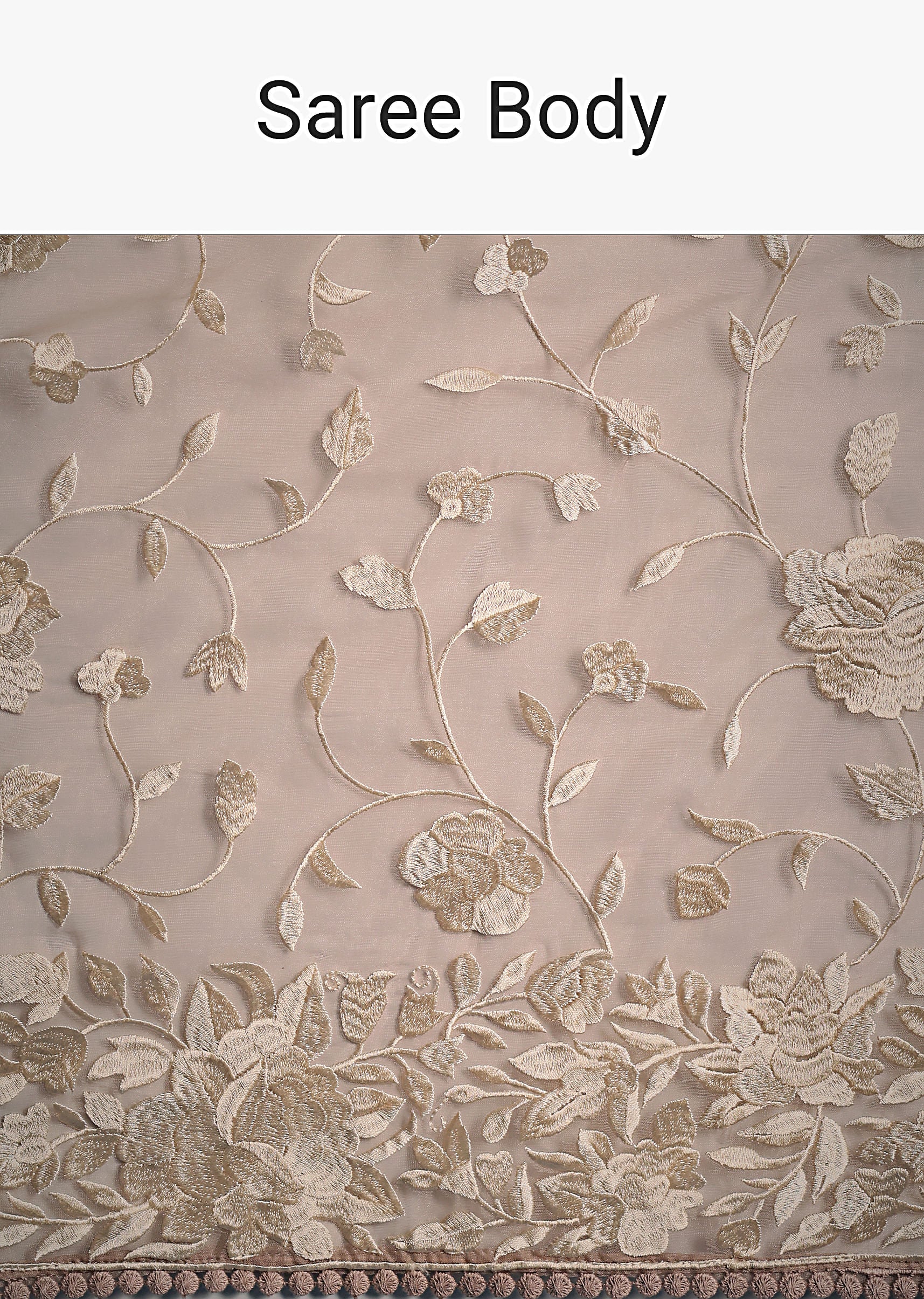 light_brown_organza_resham_thread_embroidered_saree-sg261618_8_2d561016-2894-44db-ae56-91a43ce858a1.jpg