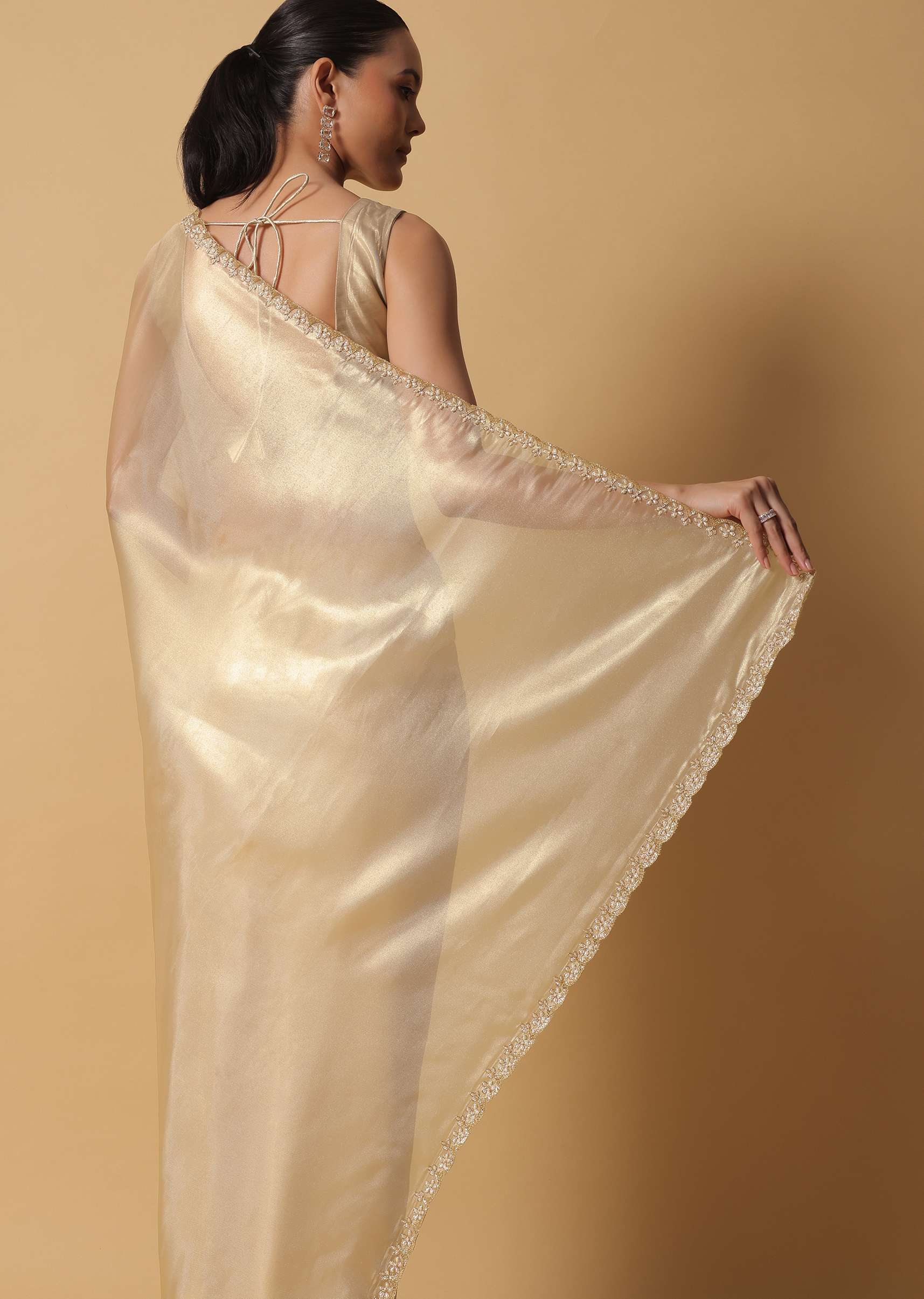 light_gold_toned_foil_saree_in_tissue-sg157503_10_89e8e0cc-2caa-4024-bb03-c080fbe45343.jpg