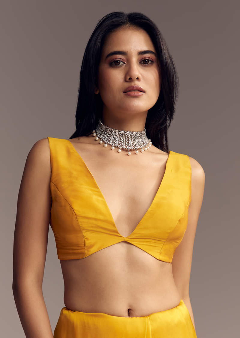 mustard-yellow-organza-saree-with-scallop-border-and-stone-work-sg317715-7_b8cb93e3-32ca-4f1b-93aa-257a3a8a4627.jpg