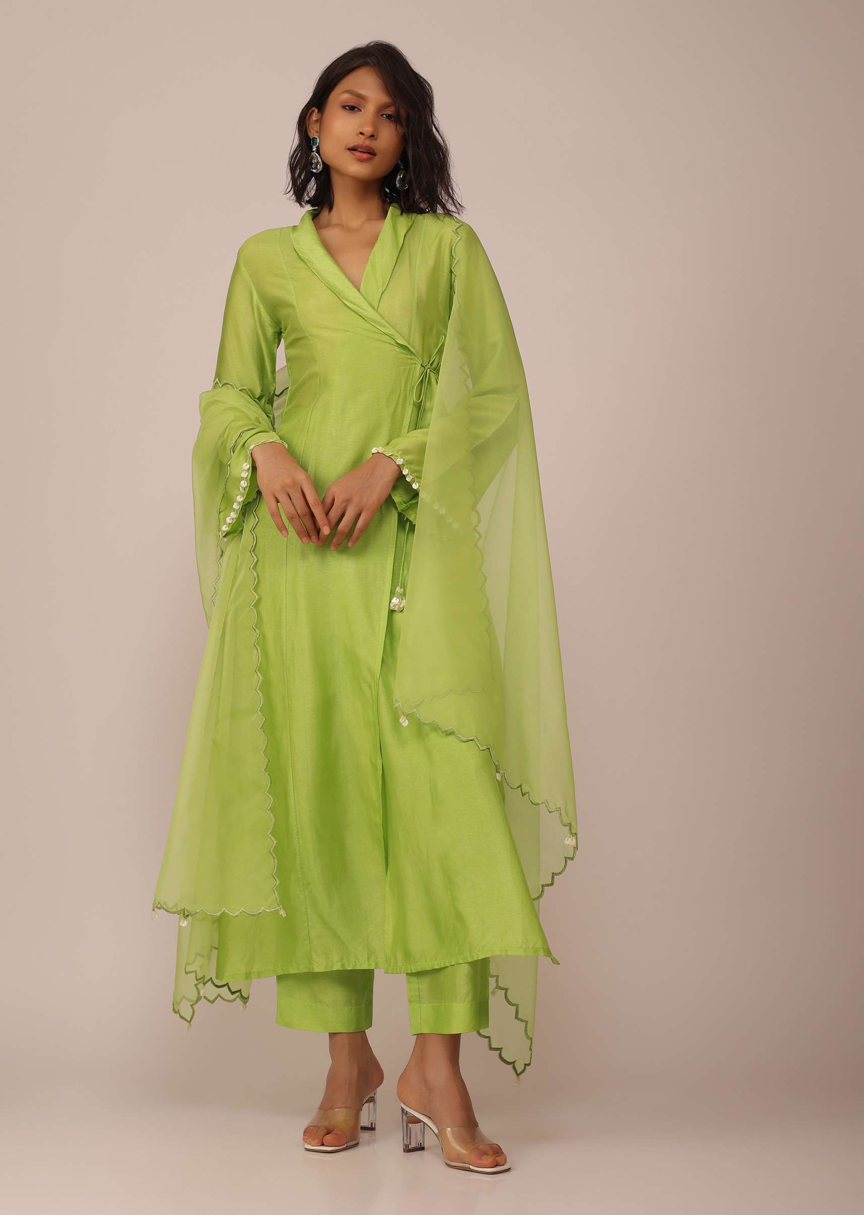 parrot_green_suit-sg144474_2_986bf89e-2789-4833-96f0-e5ae298de0c0.jpg