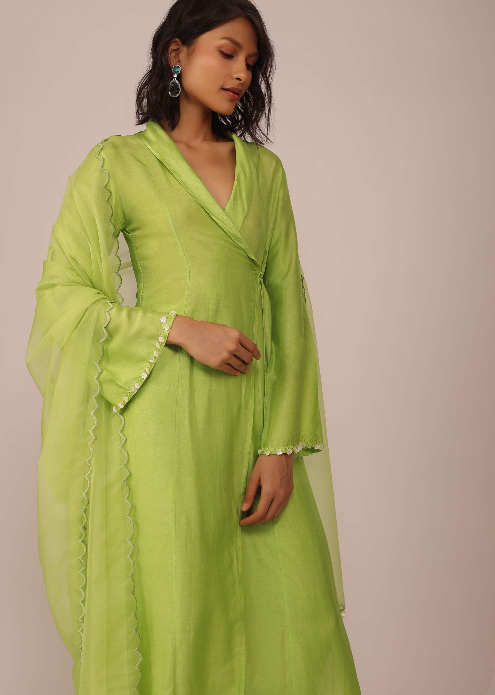 parrot_green_suit-sg144474_4_a64fe71c-e981-4f38-93a0-aa9f195a205d.jpg