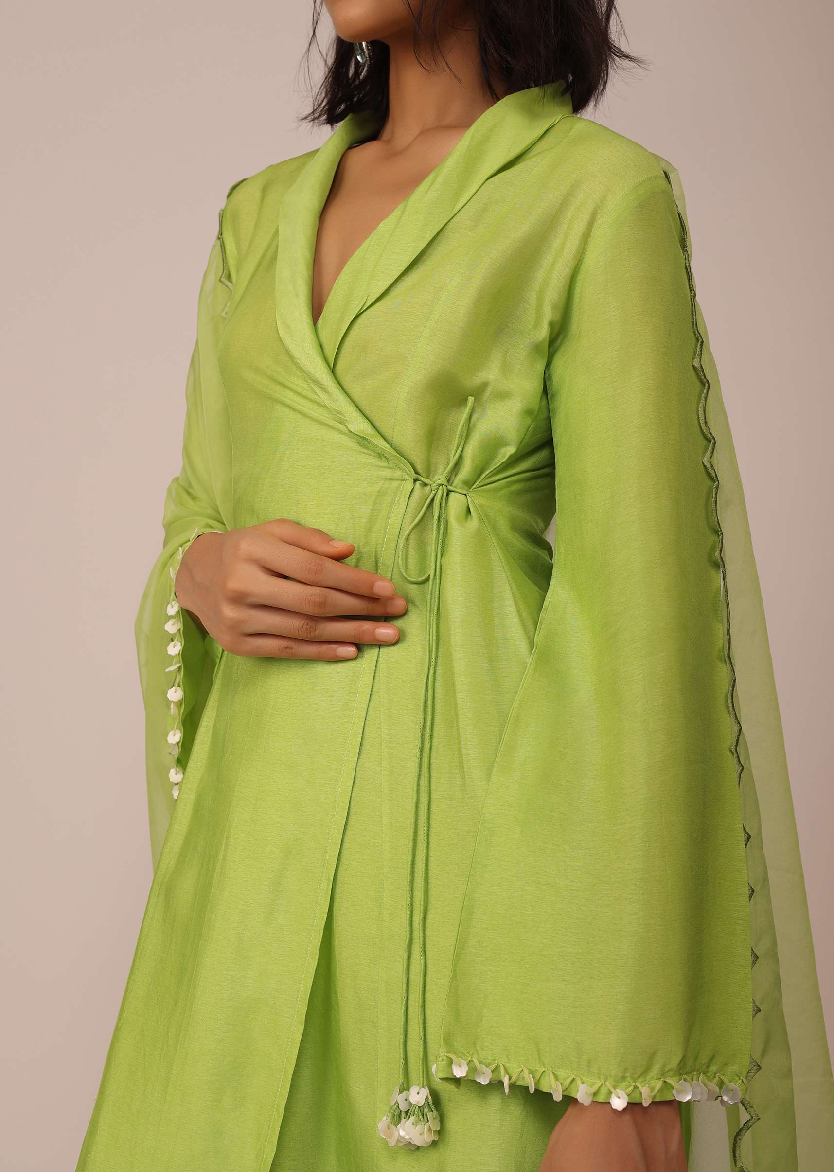 parrot_green_suit-sg144474_6_34029718-841d-4535-88e5-8adf7626a316.jpg