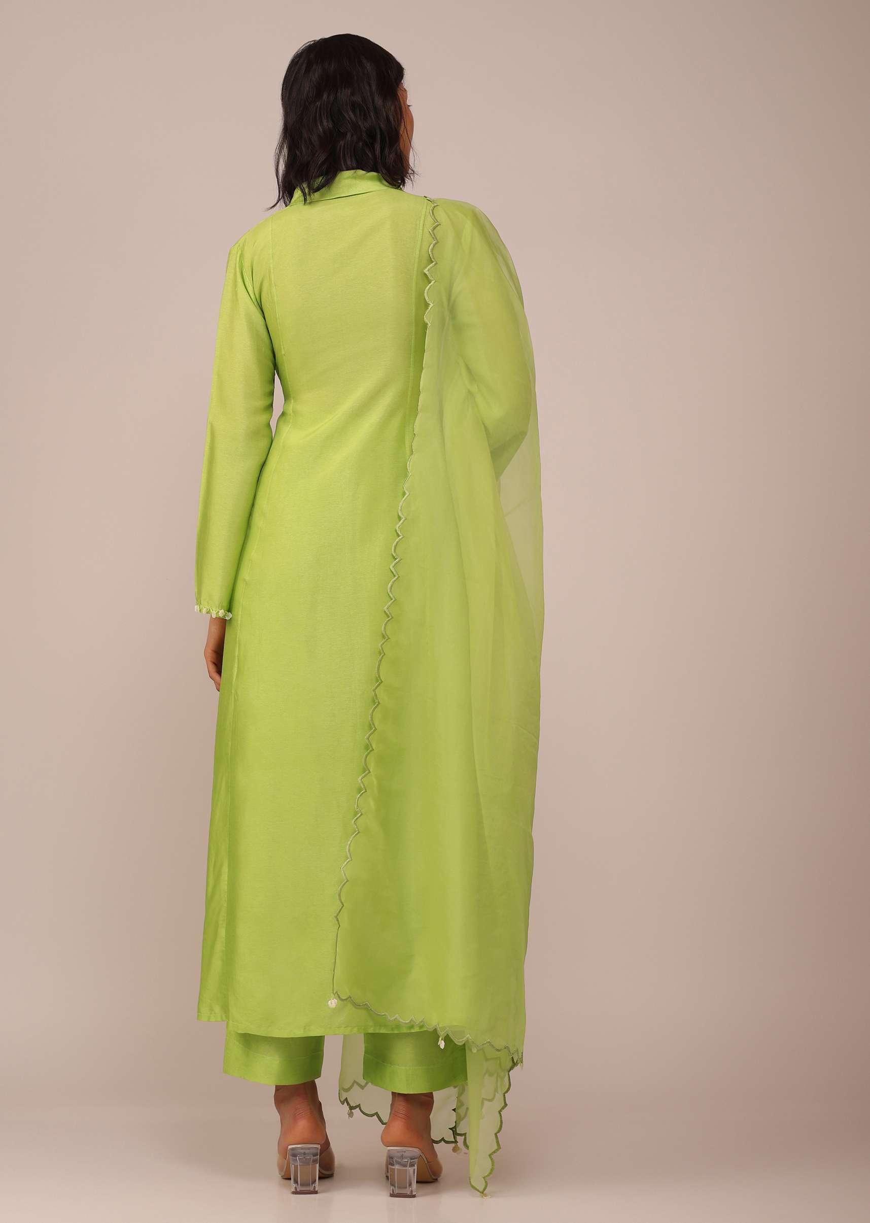 parrot_green_suit-sg144474_7_d600ef1b-0dc8-4c97-b787-5a08705a7046.jpg
