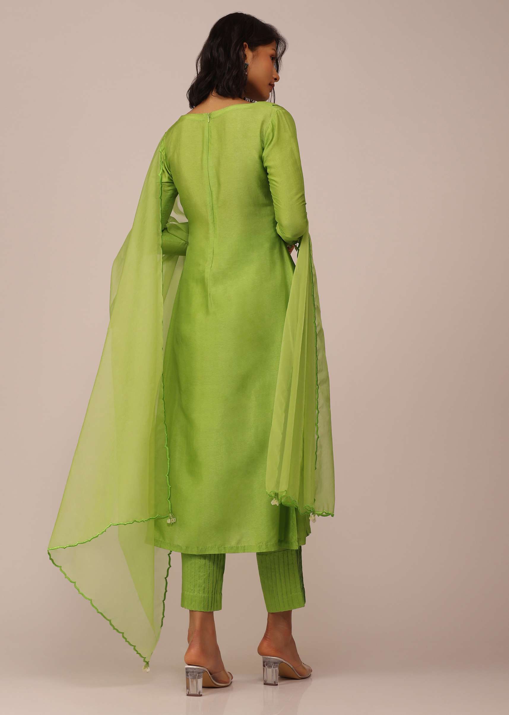 parrot_green_suit_set-sg144478_7_b39f4662-fd42-4977-bab3-bece97e36fb6.jpg