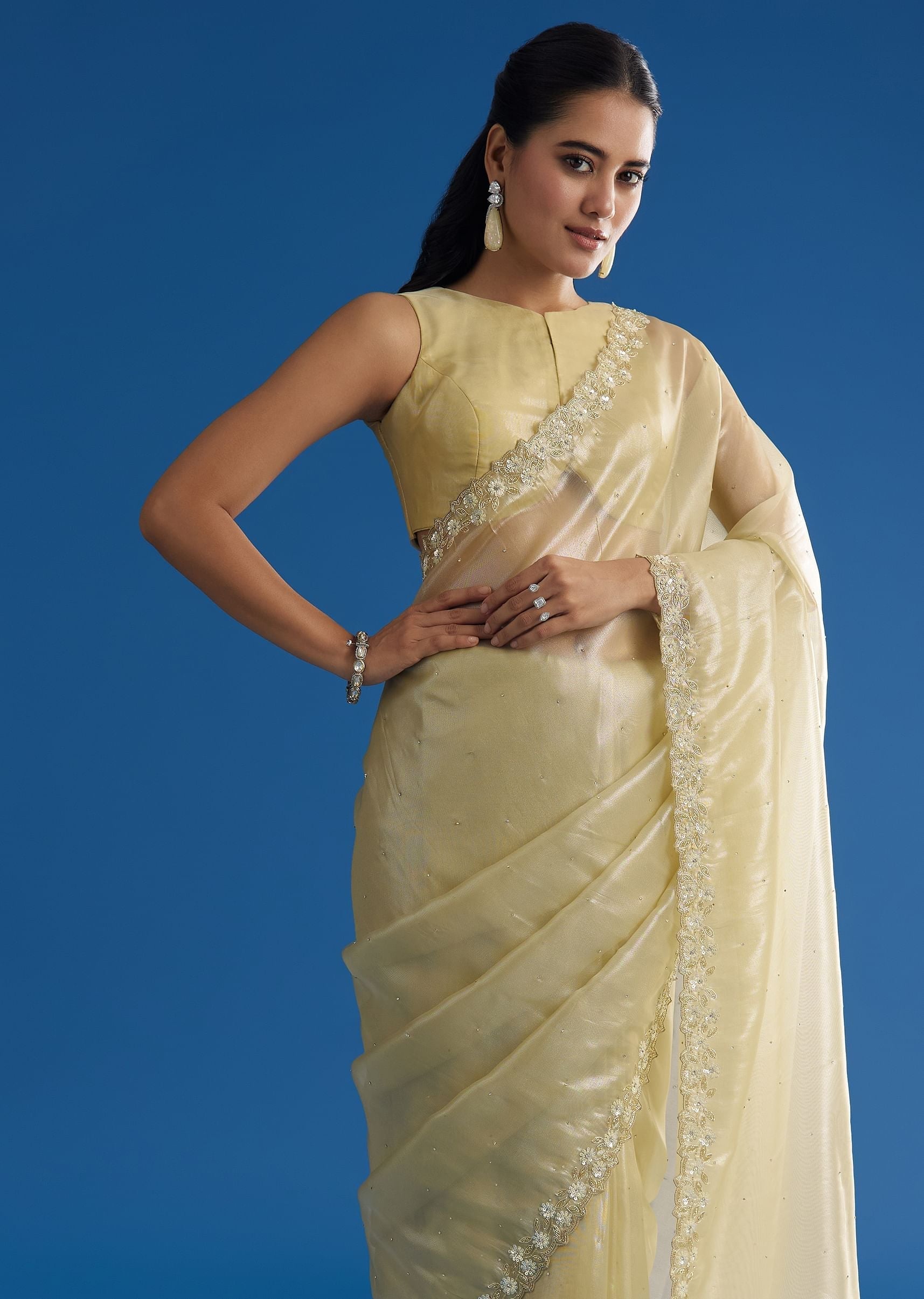 pastel-green-glass-tissue-saree-with-floral-embroidery-and-cutwork-border-sg296150-1_ddd49c00-4479-4895-a449-49a68bd94bf6.jpg