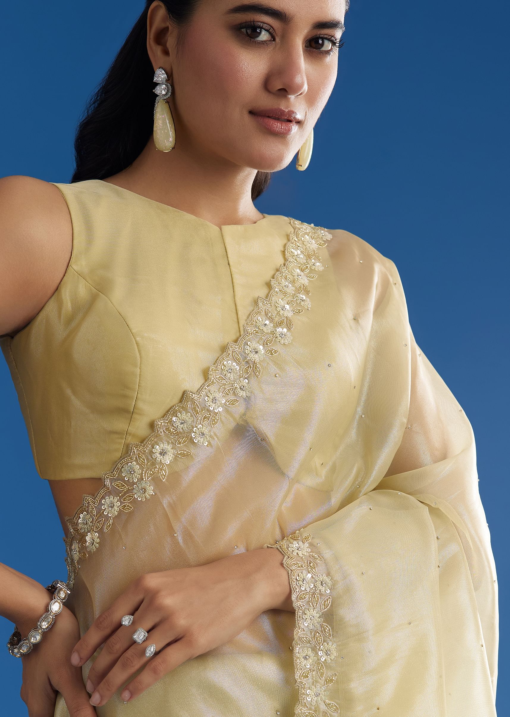 pastel-green-glass-tissue-saree-with-floral-embroidery-and-cutwork-border-sg296150-3_705ac956-e090-4b28-ae61-cd8d8a7c7efa.jpg