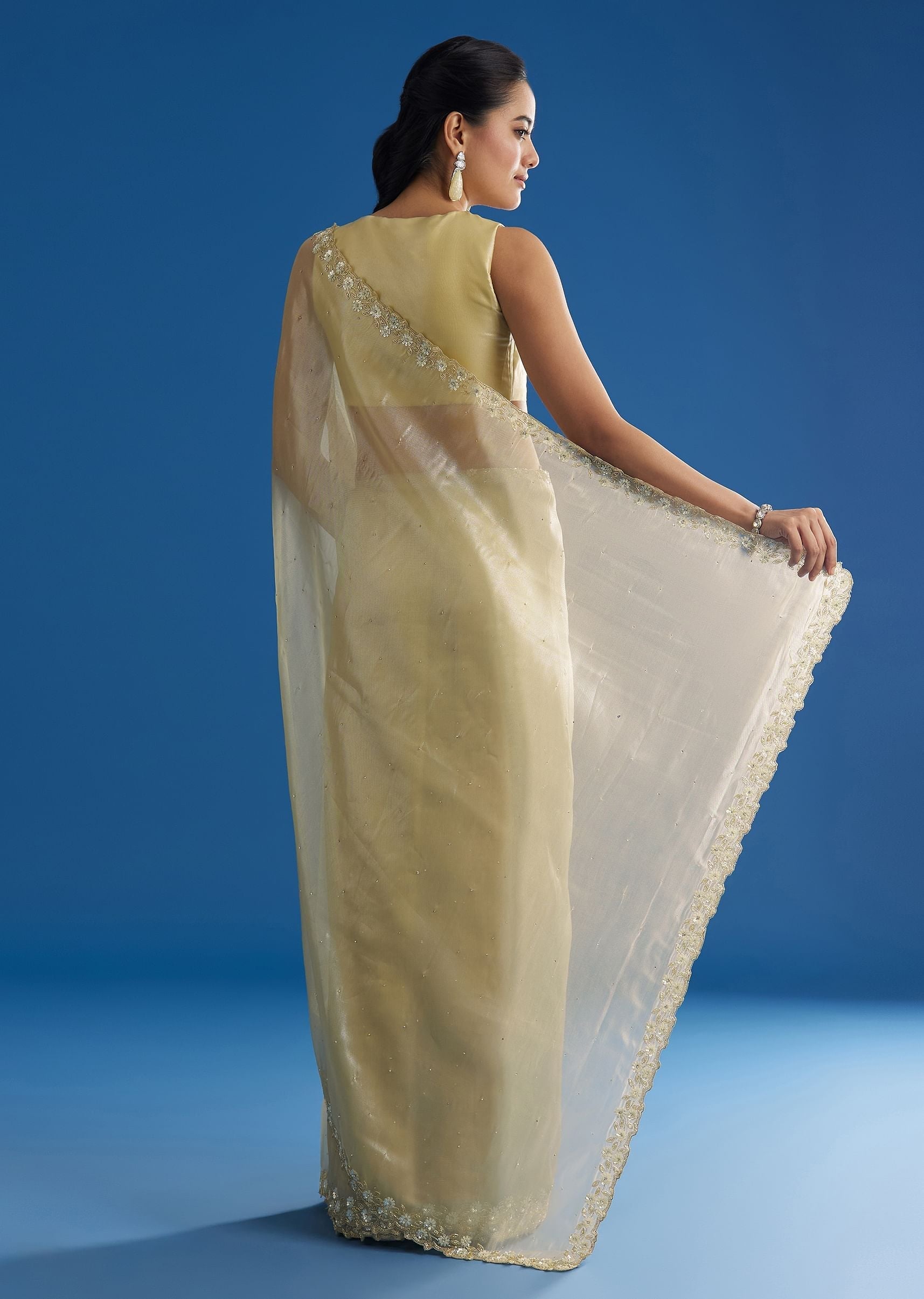 pastel-green-glass-tissue-saree-with-floral-embroidery-and-cutwork-border-sg296150-4_fc38bac7-35ea-4213-8056-026175ae44f6.jpg