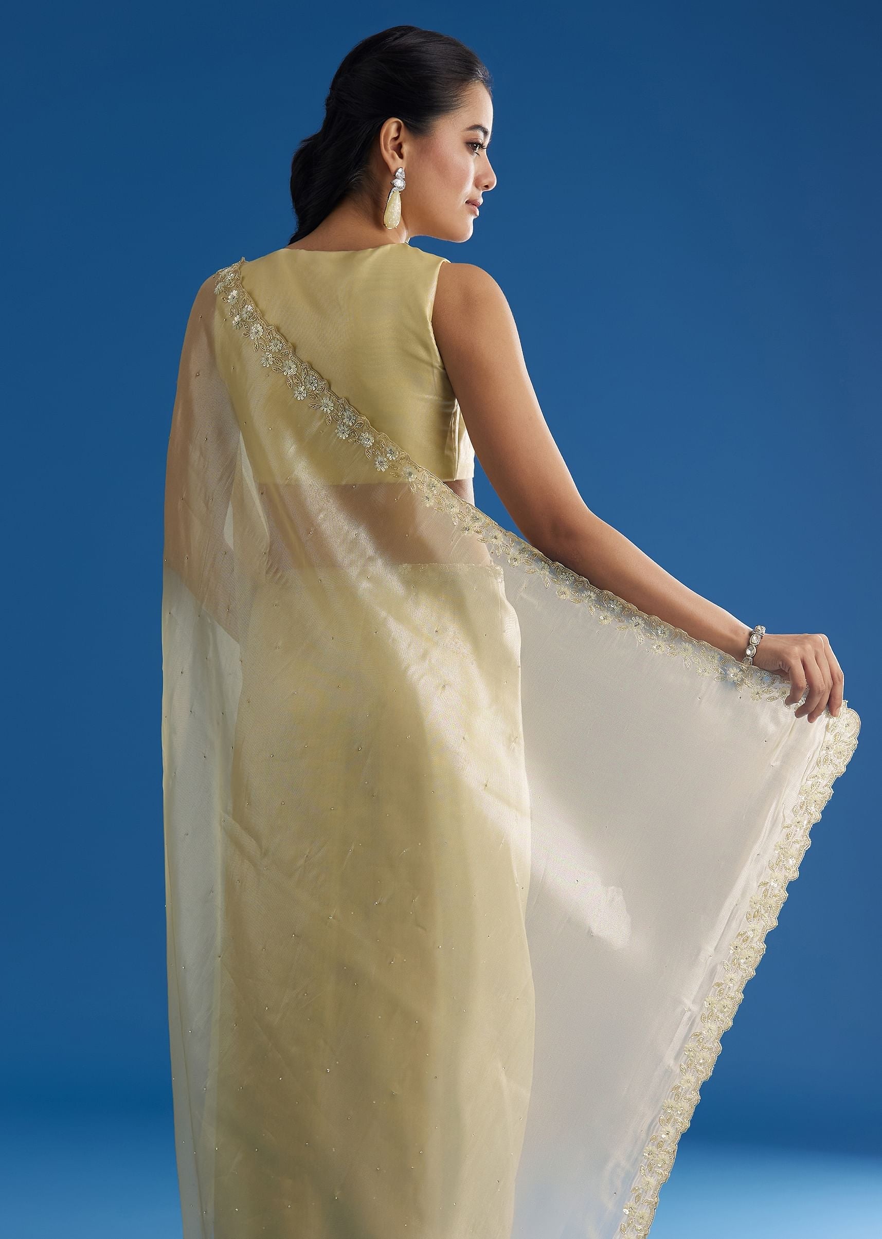 pastel-green-glass-tissue-saree-with-floral-embroidery-and-cutwork-border-sg296150-6_340a2e2e-7882-4e6d-9123-509a8af083be.jpg
