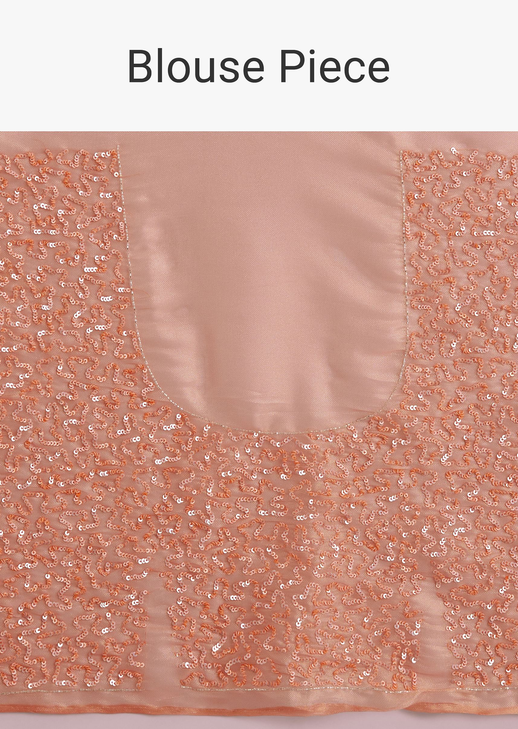 peach-glass-tissue-saree-with-cutdana-sequins-embroidery-and-cutwork-scallop-border-sg292882-10_6a6e9860-1dd5-4a9d-8d2c-97ec69c3265b.jpg