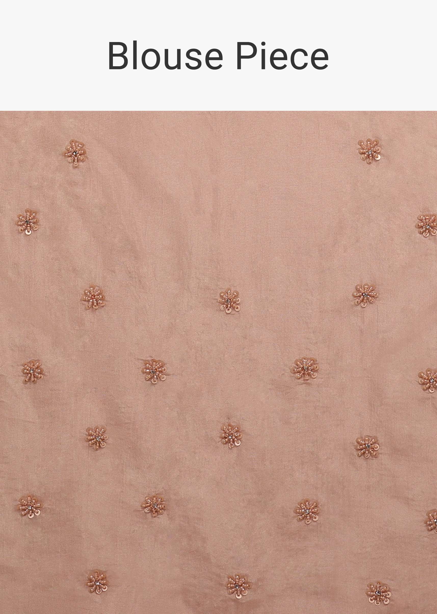 peach_shimmer_saree_in_gold_sequins_embroidery_with_stones-sg97330_6158a3c8-12fc-4b6c-a1ad-b01f8f463ac2.jpg